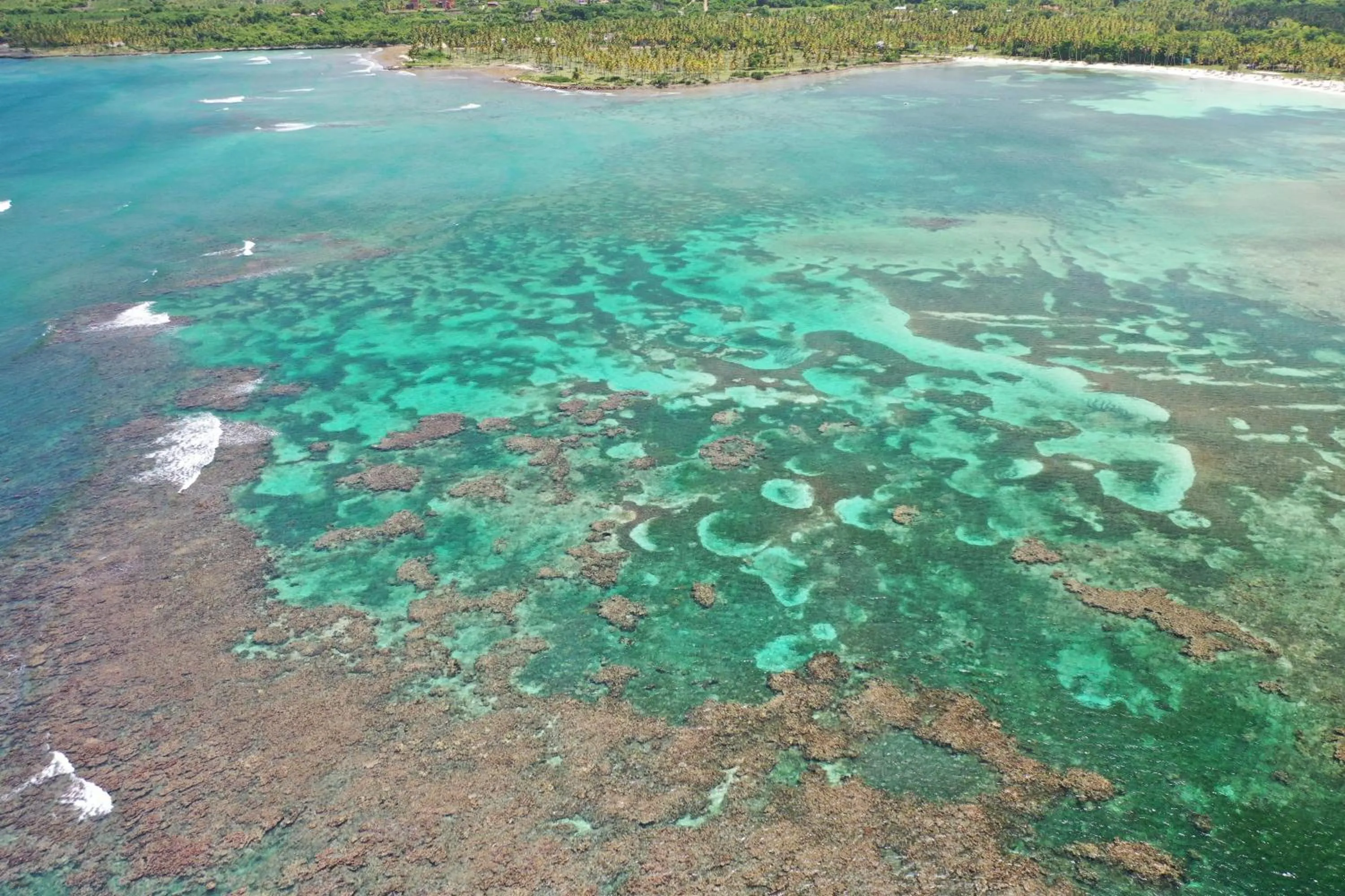 Bird's eye view in Hotel TODOBLANCO, Las Galeras, SAMANA