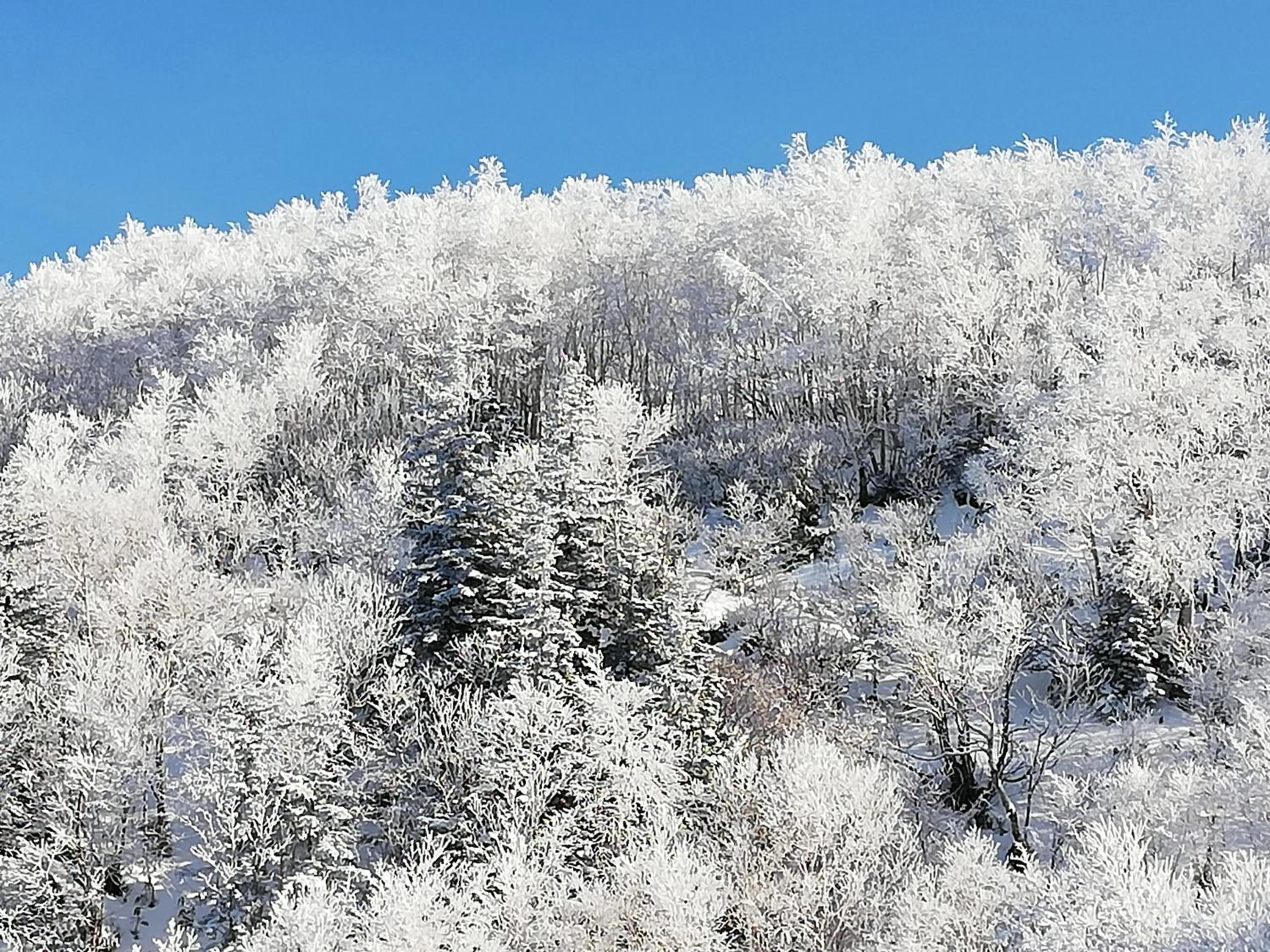 Natural landscape in Ryounkaku