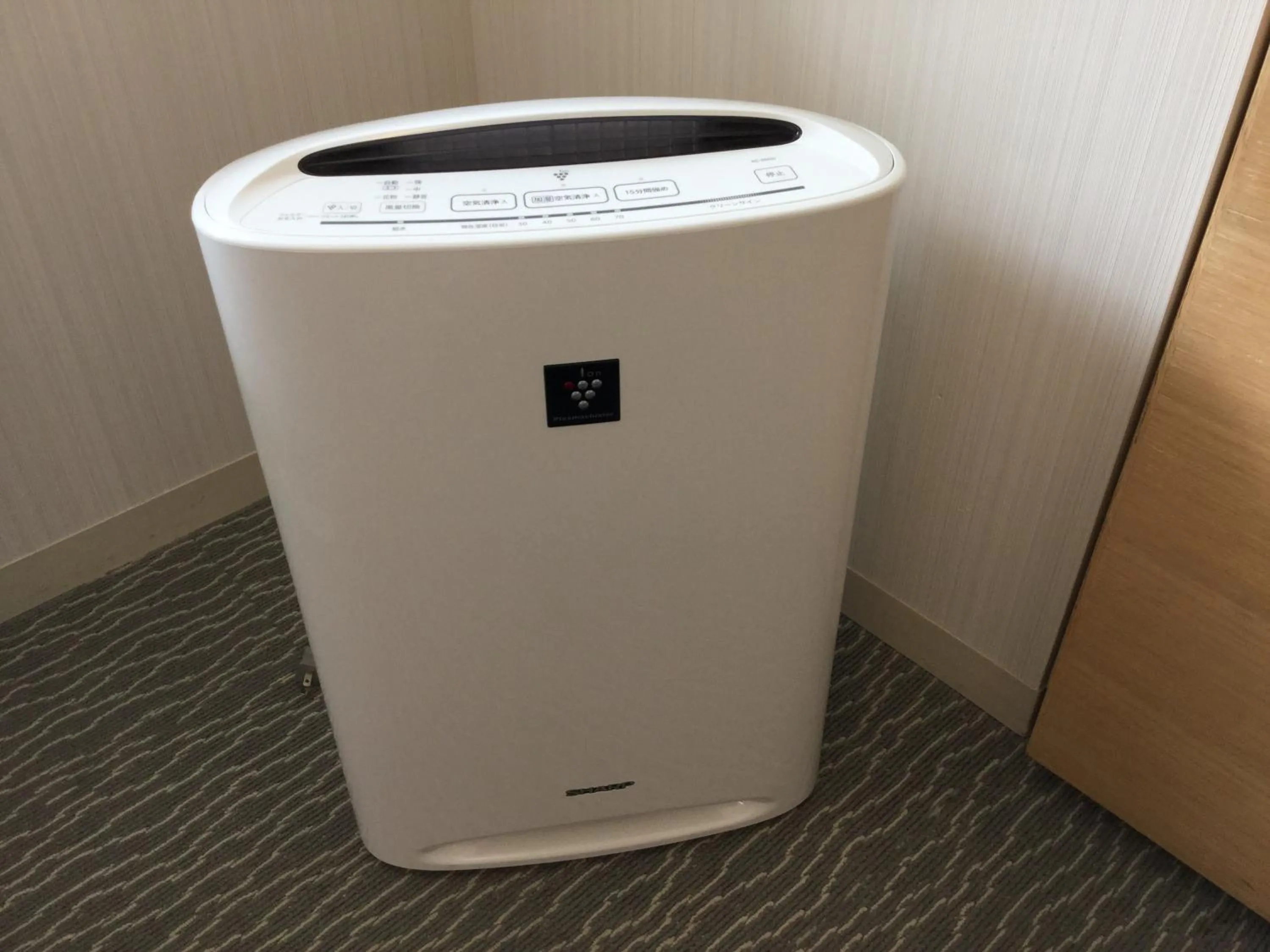 Decorative detail in Naha Tokyu REI Hotel