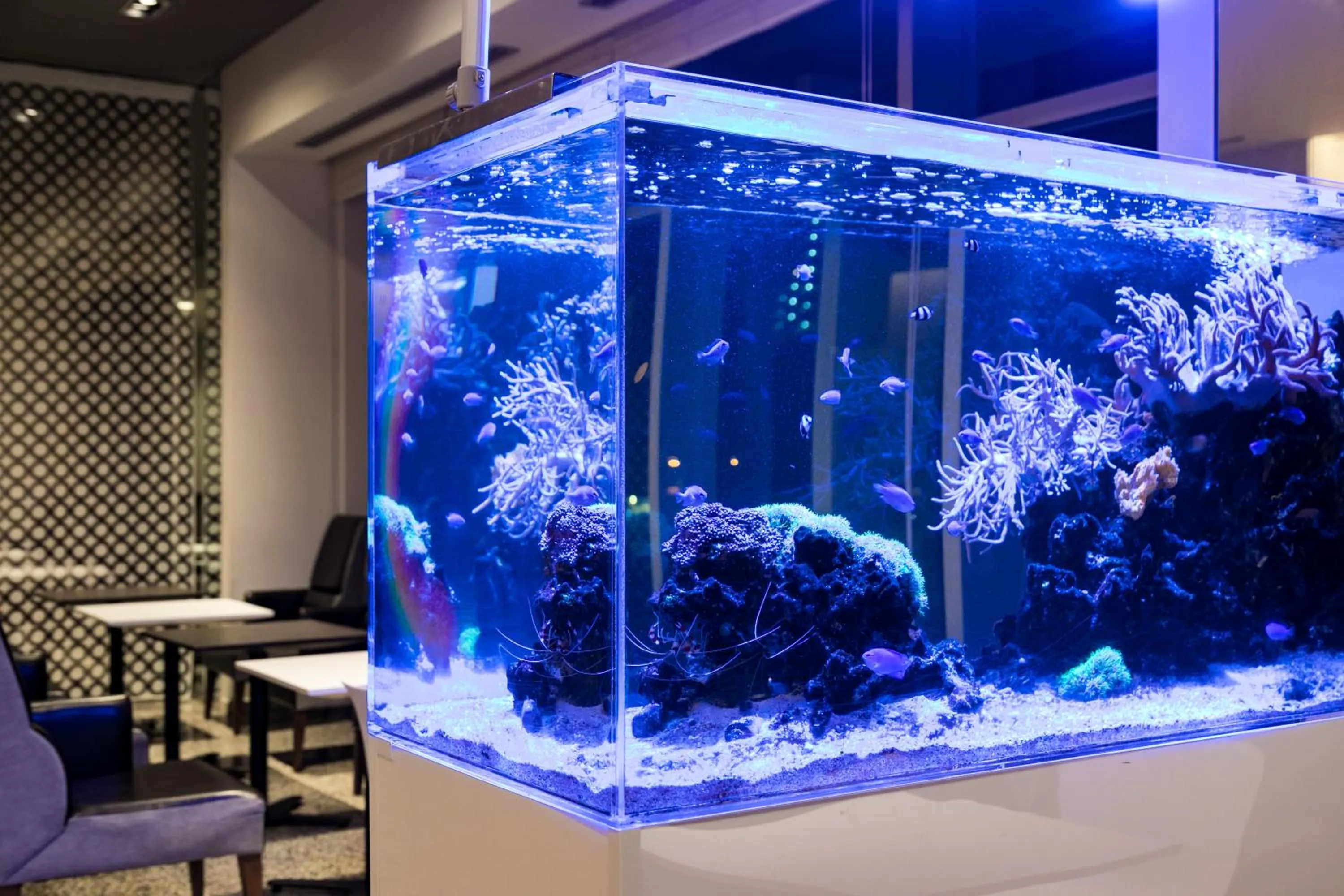 Communal lounge/ TV room in Naha Tokyu REI Hotel