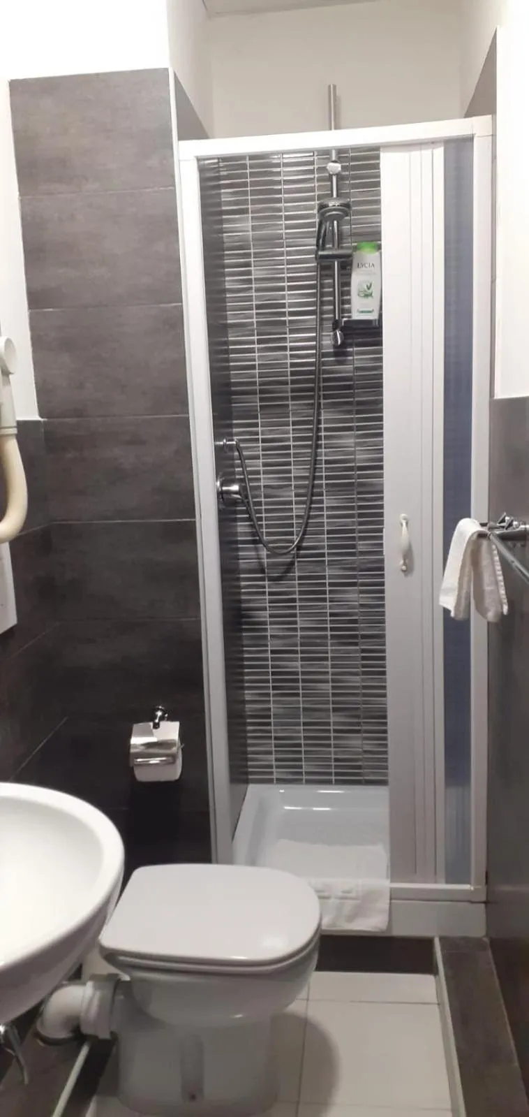 Domus Vatican Holiday's