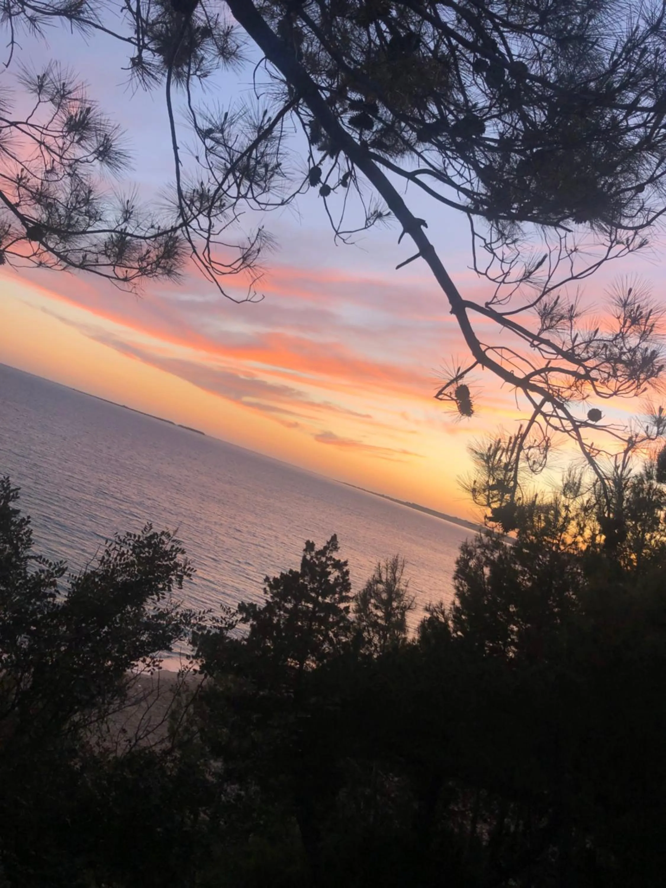 Natural landscape in Residence Poseidon