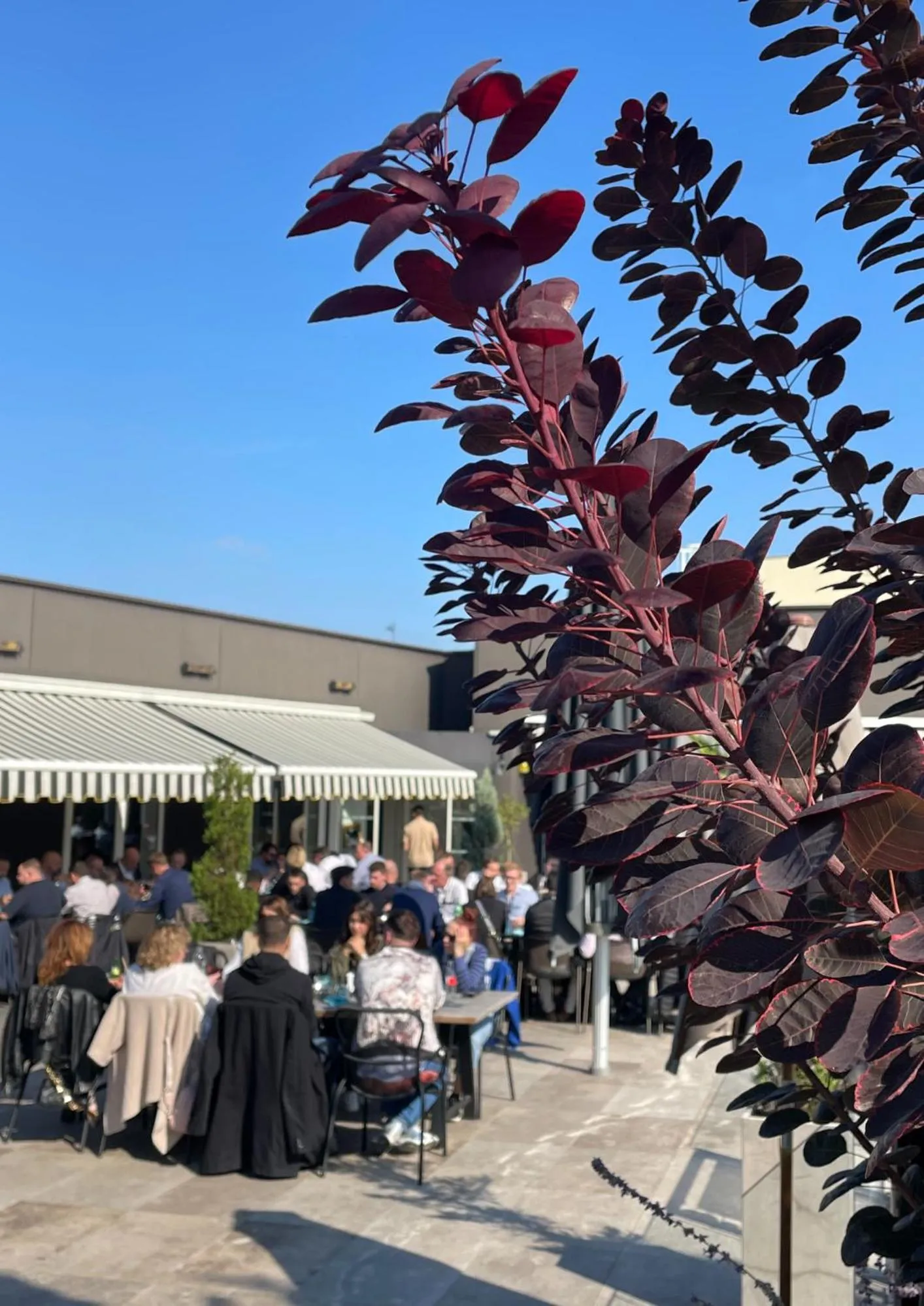 Swimming pool in Novotel Reims Tinqueux