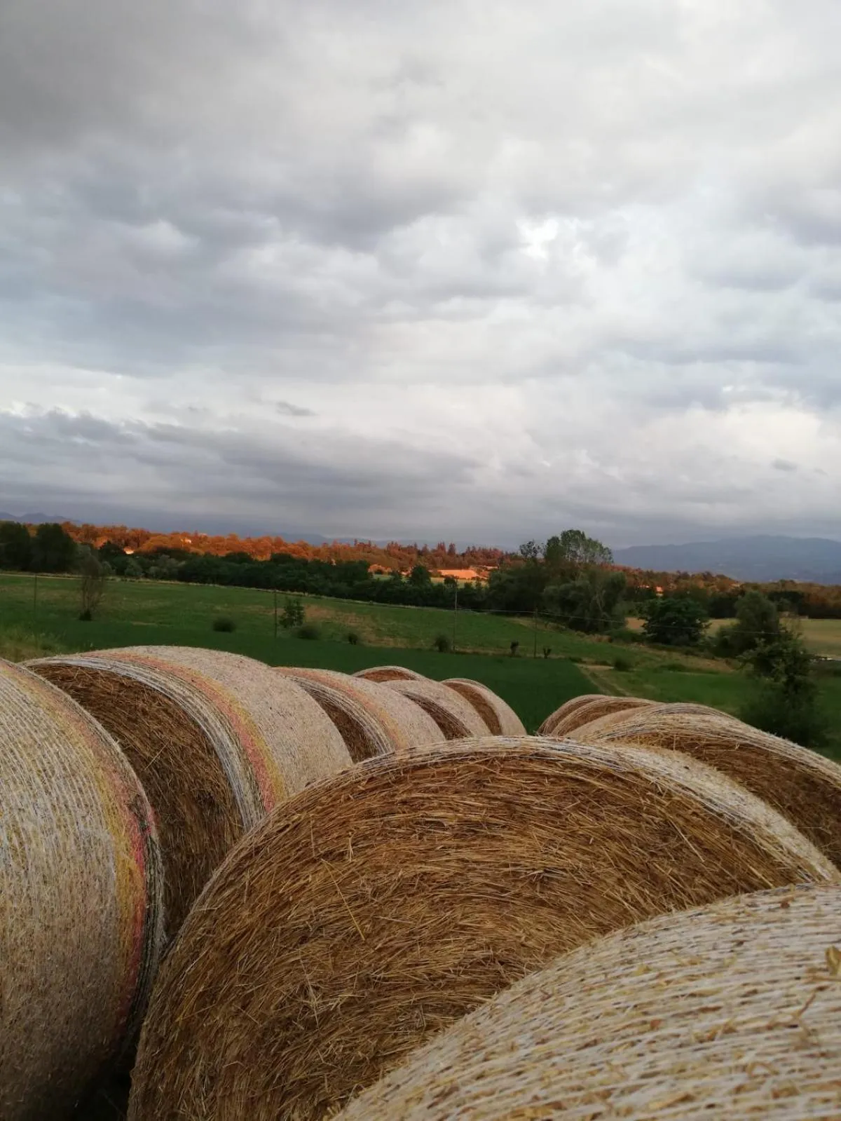 Il Podere della piazza
