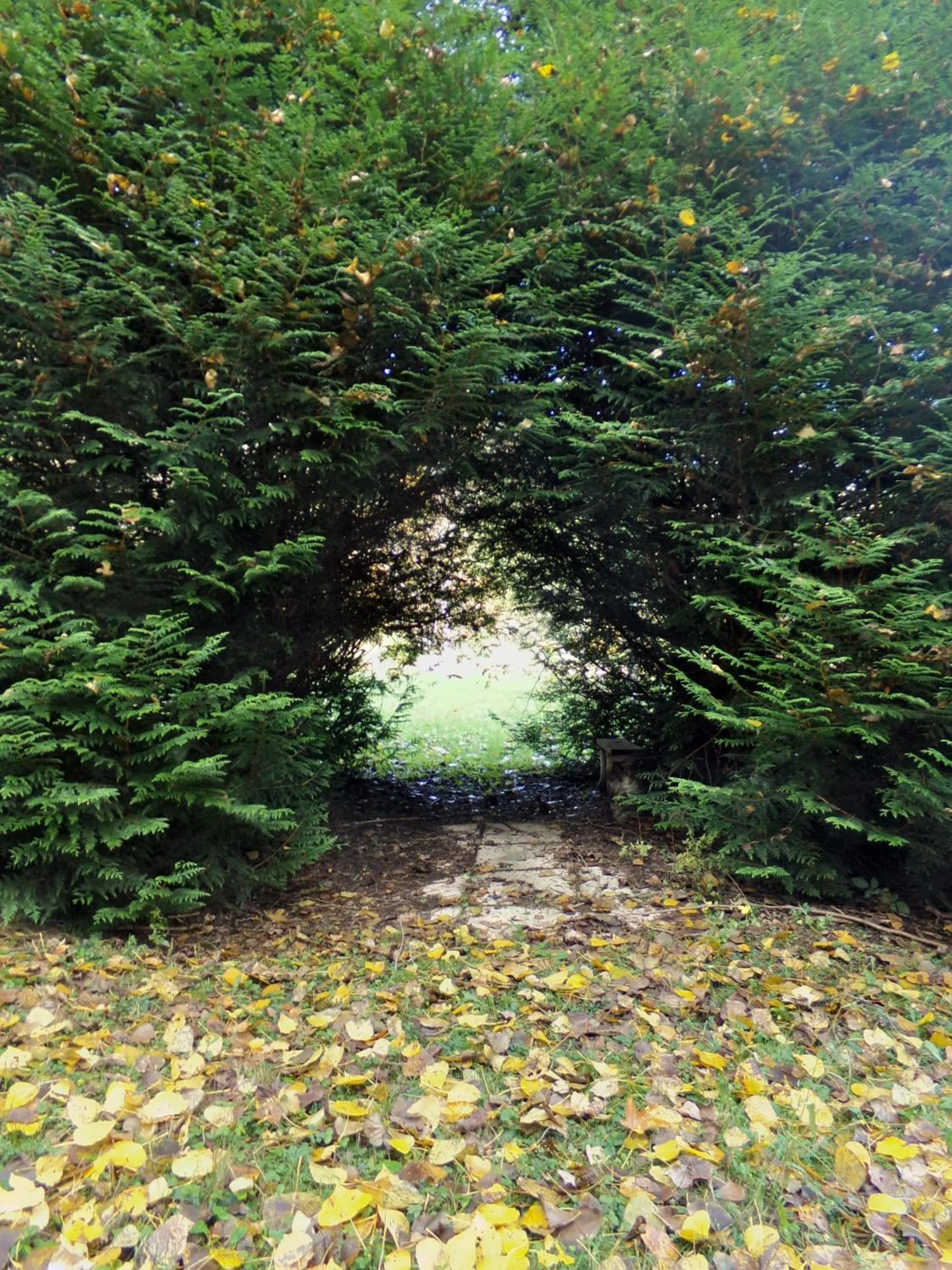 Natural landscape in Hotel-Spa & Restaurant Logis Domaine Langmatt