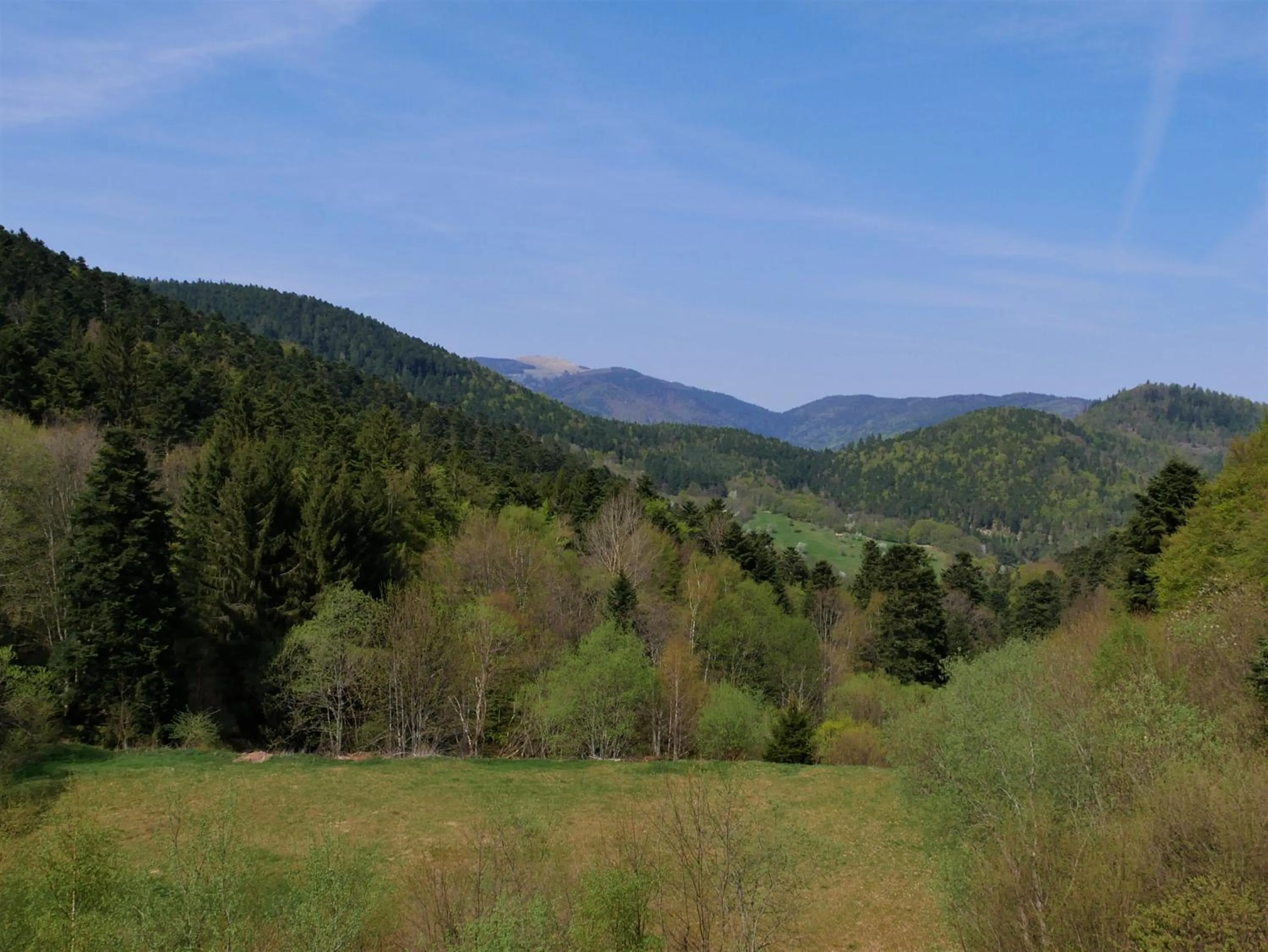 Mountain view in Hotel-Spa & Restaurant Logis Domaine Langmatt