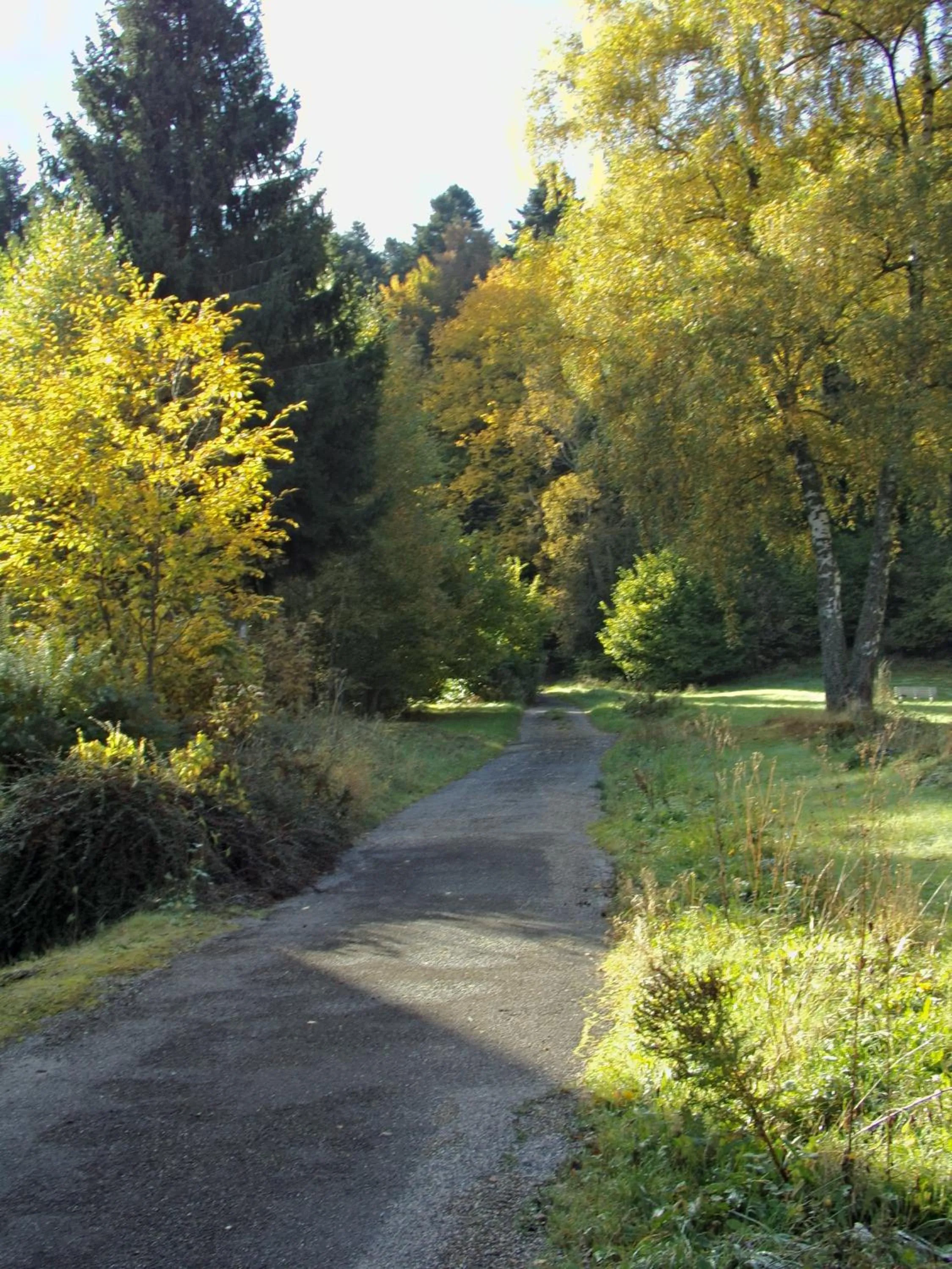 Garden in Hotel-Spa & Restaurant Logis Domaine Langmatt