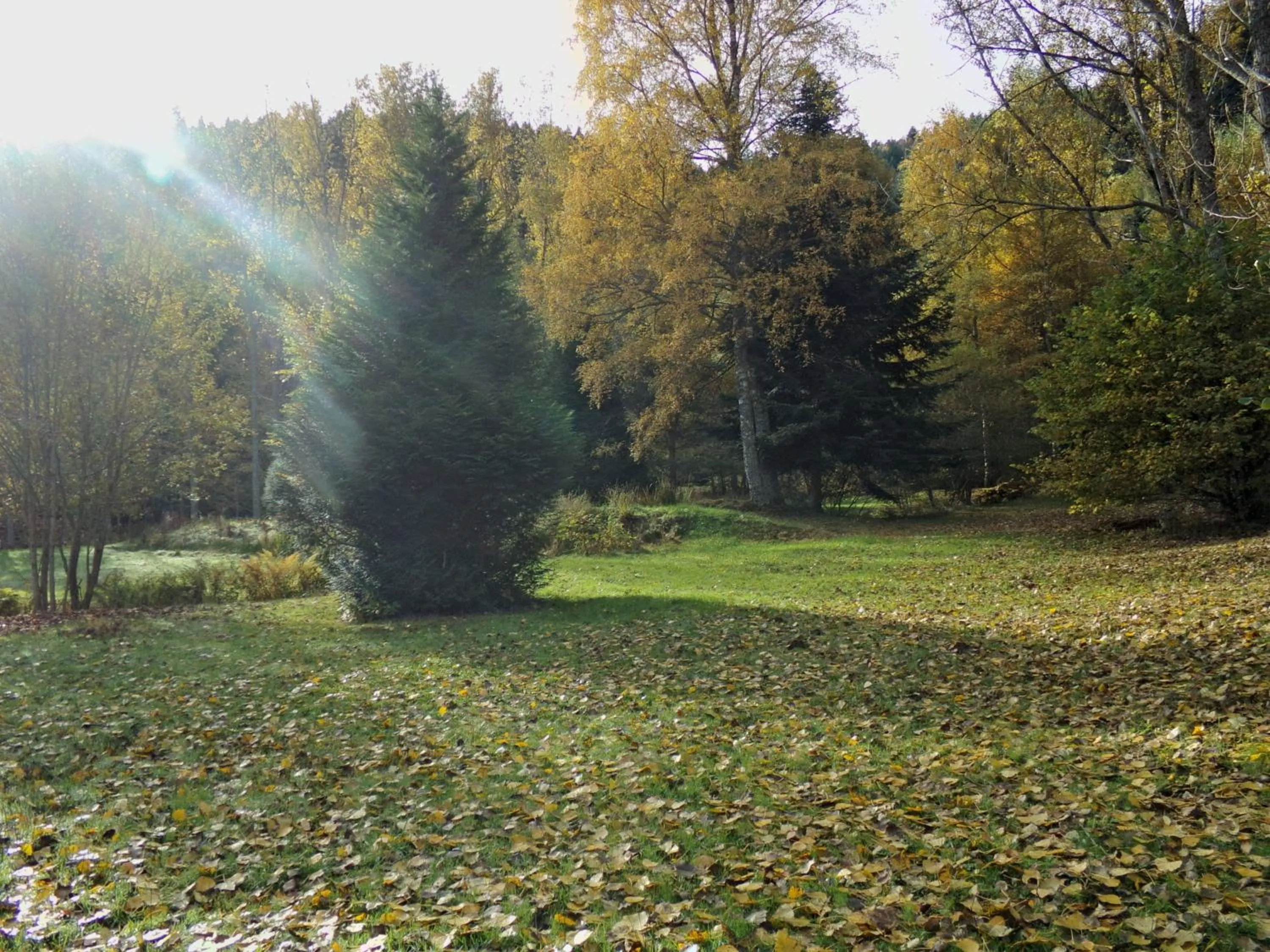 Garden view in Hotel-Spa & Restaurant Logis Domaine Langmatt