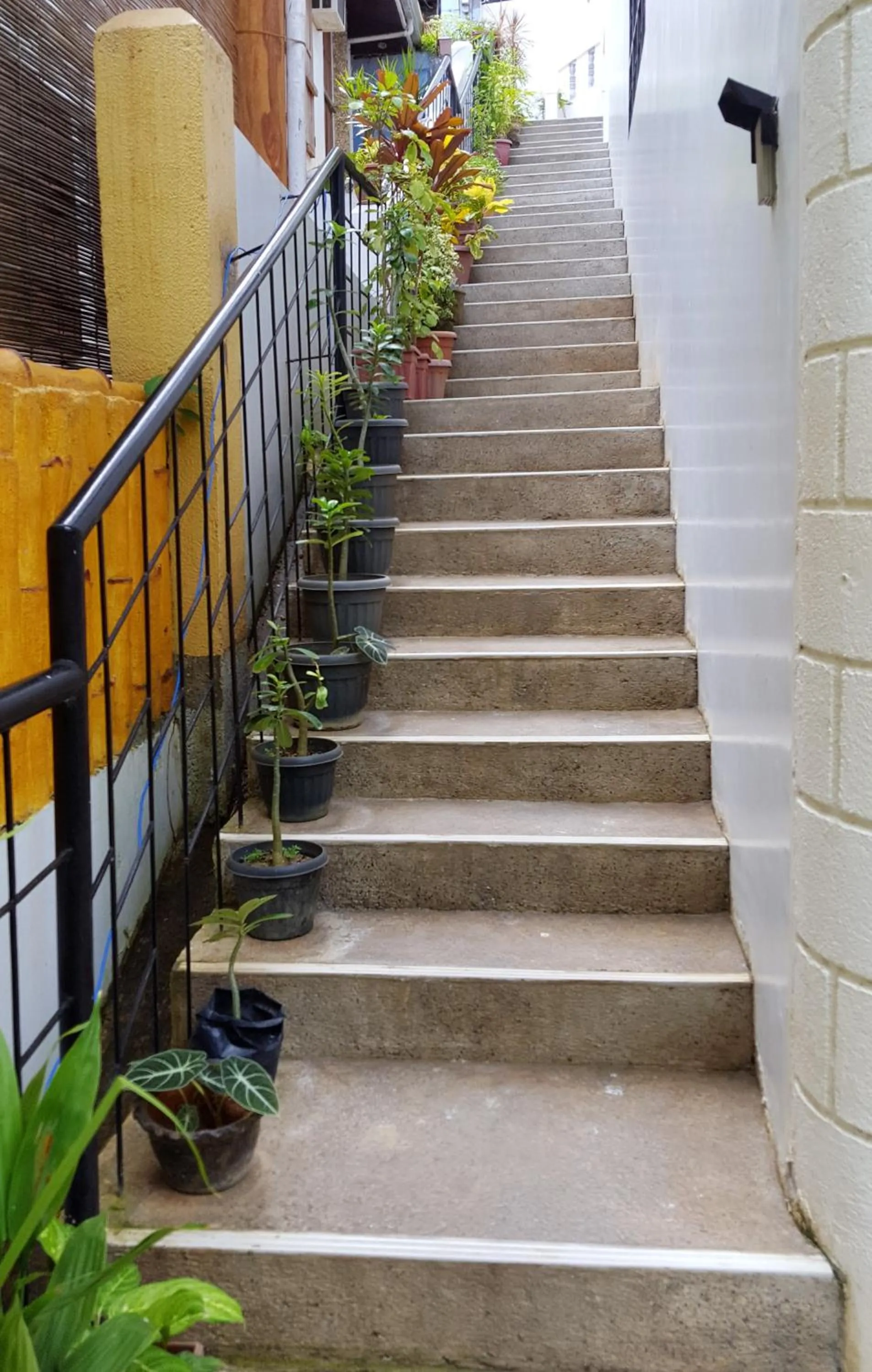 Property building in Greenyard Inn