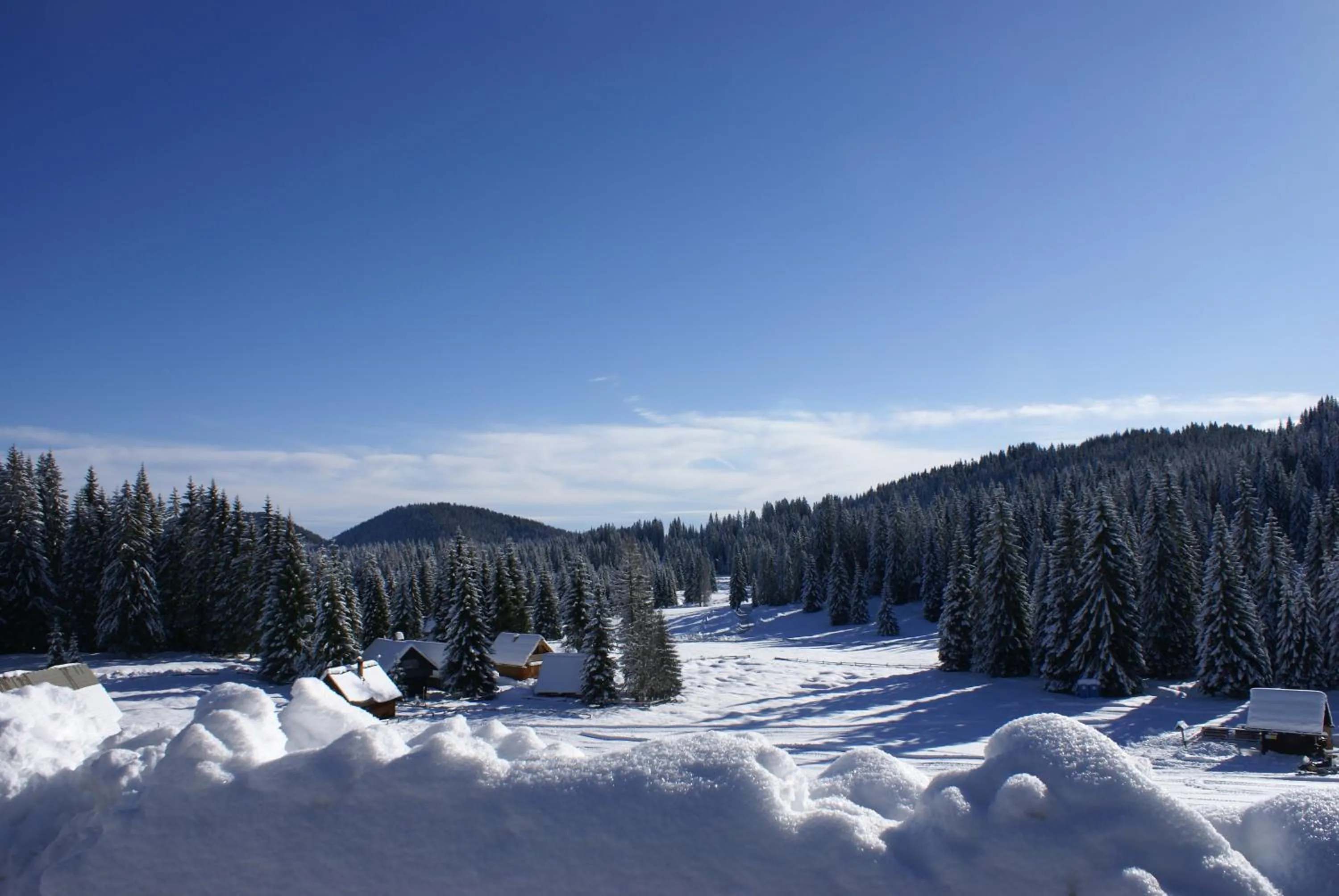 Winter in Hotel Jelka Pokljuka