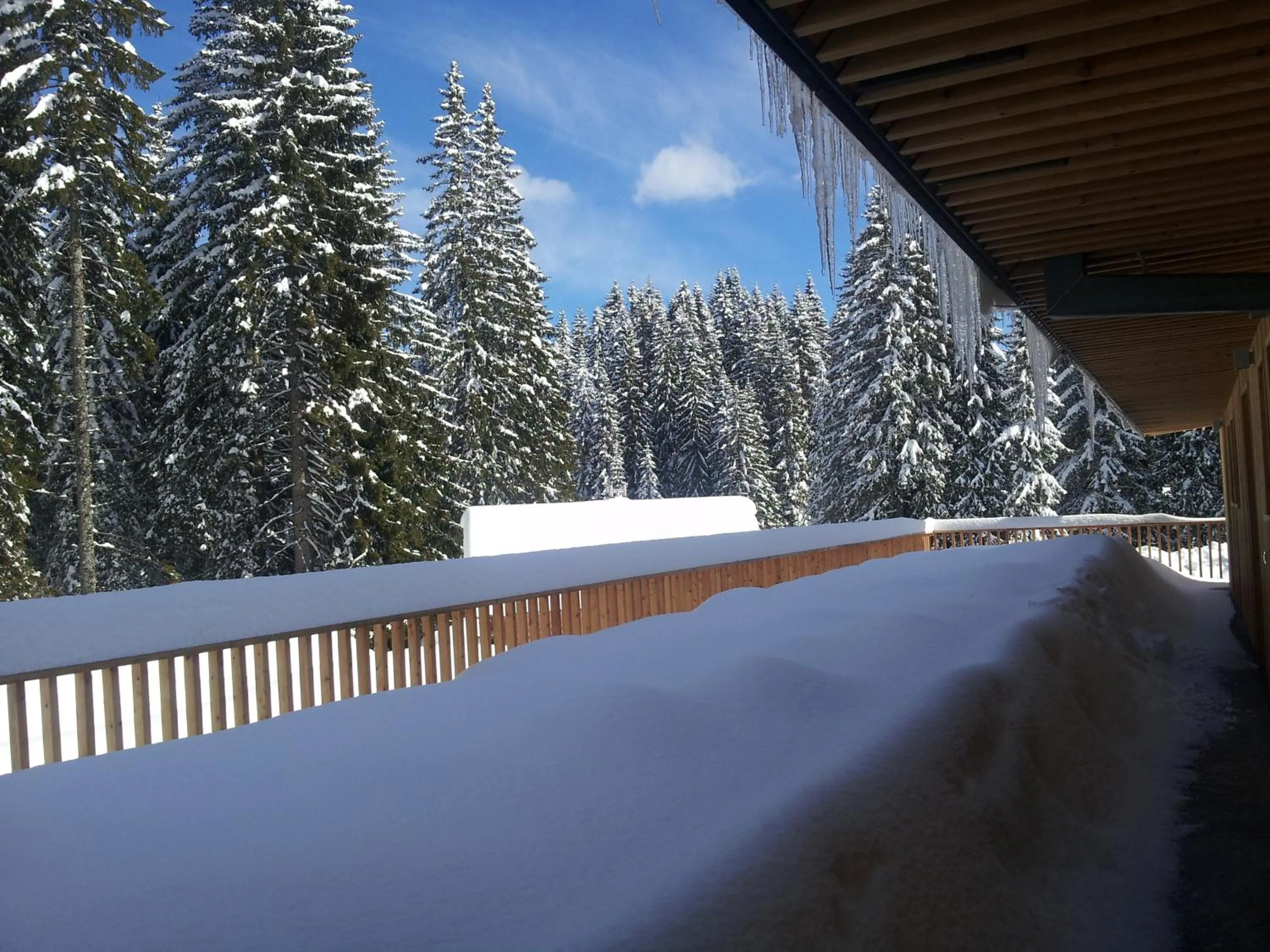 Winter in Hotel Jelka Pokljuka