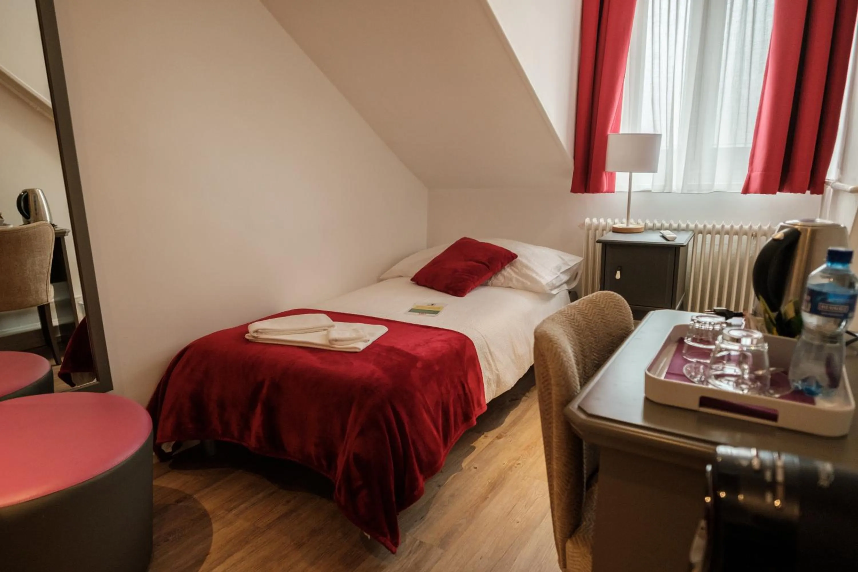 Single Room in Hôtel du Raisin