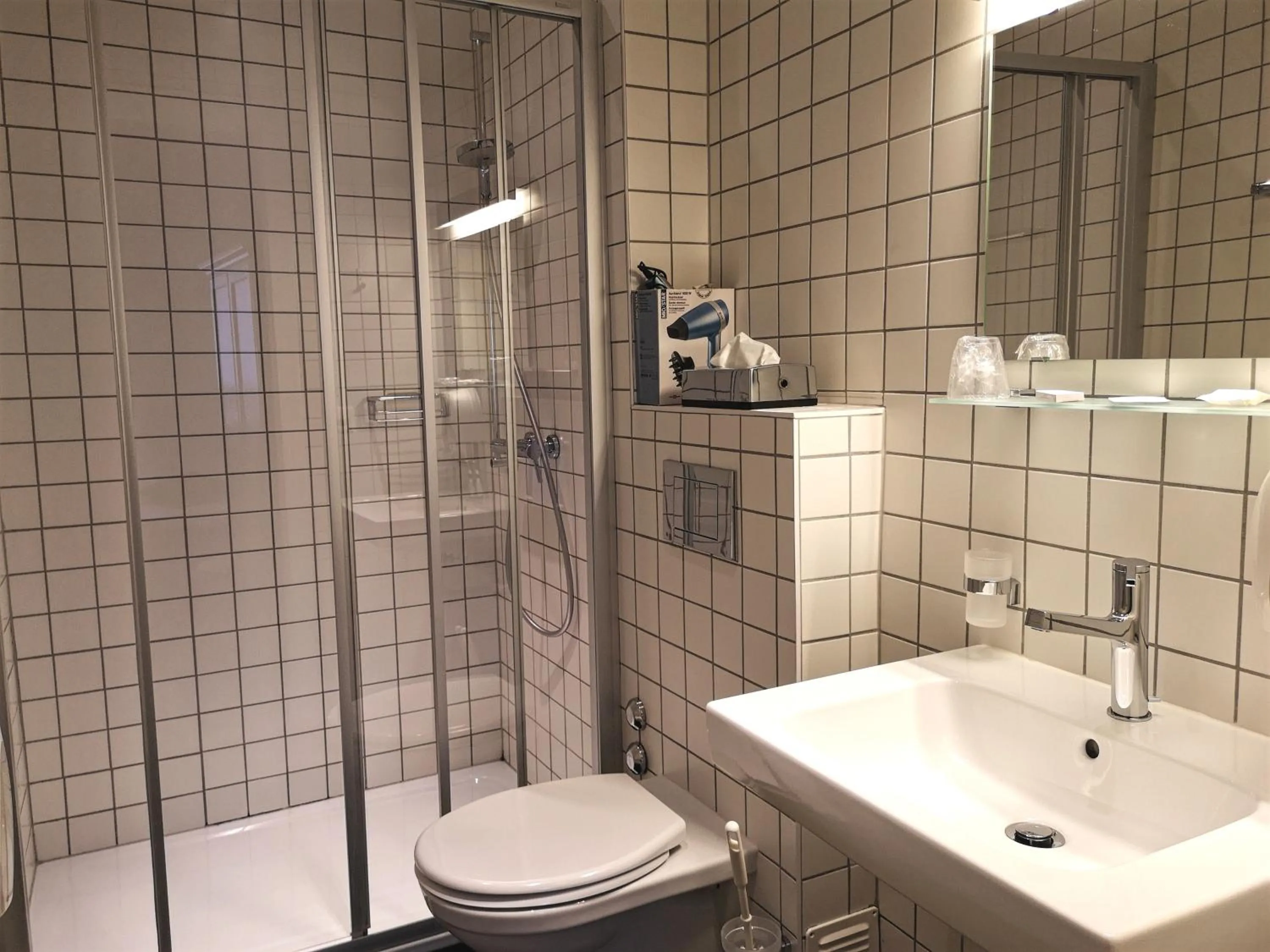 Single Room in Hôtel du Raisin