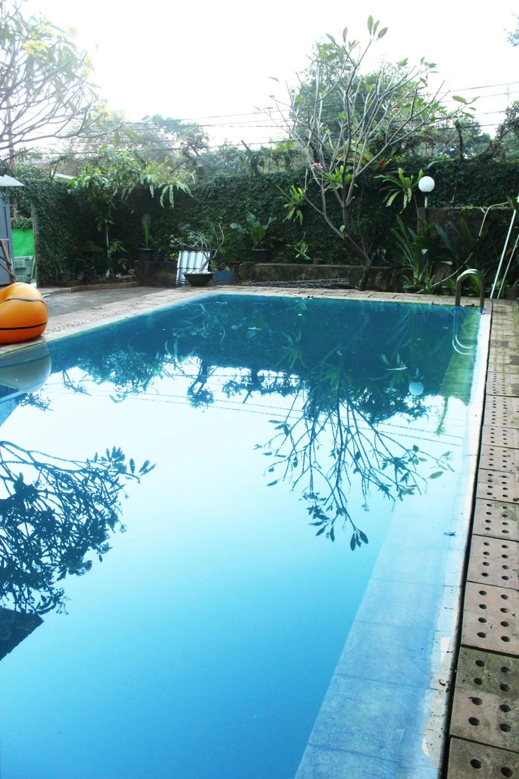 Swimming pool in Maven Buncit