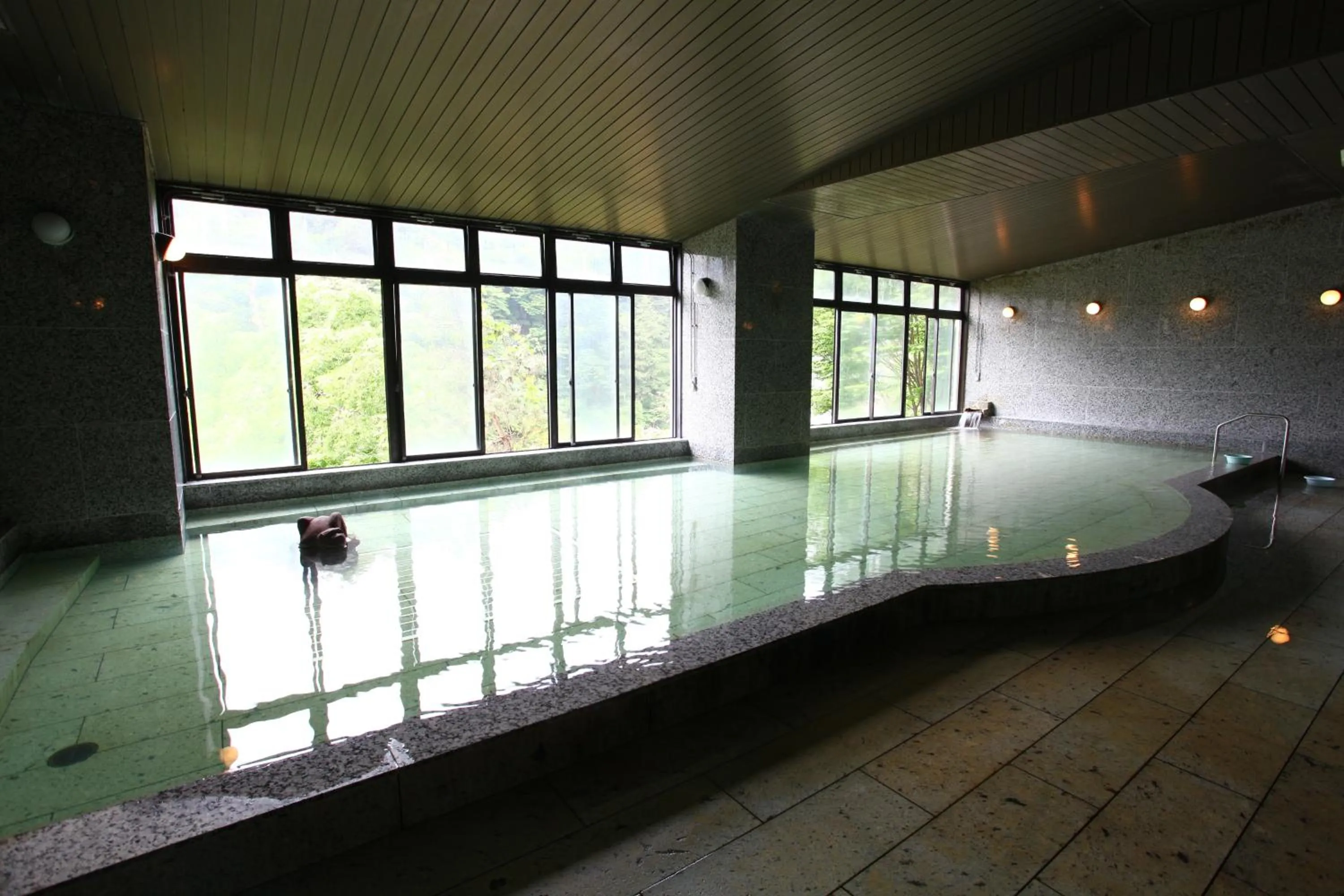 Public Bath in Hotel New Ohruri