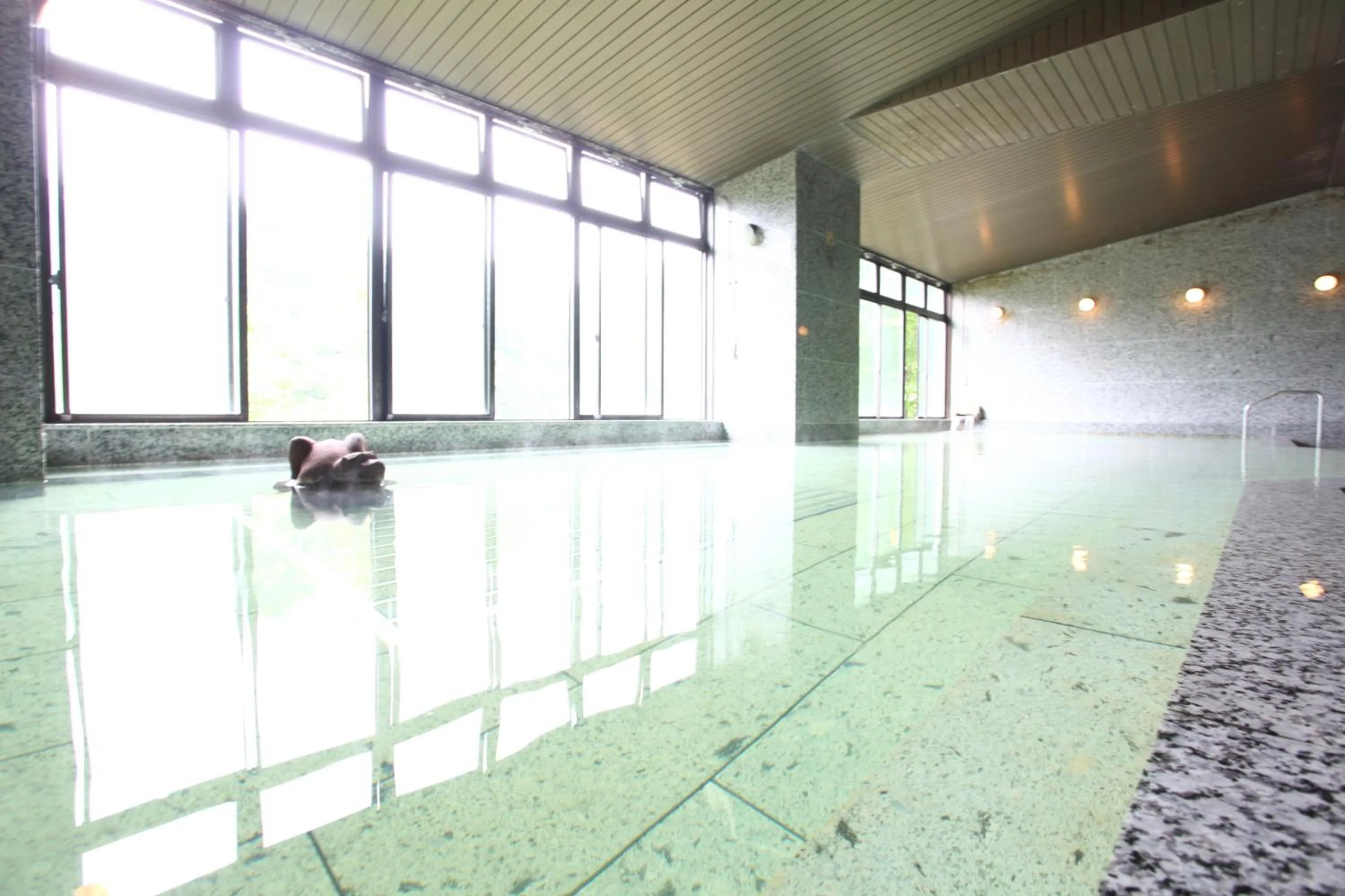 Public Bath in Hotel New Ohruri