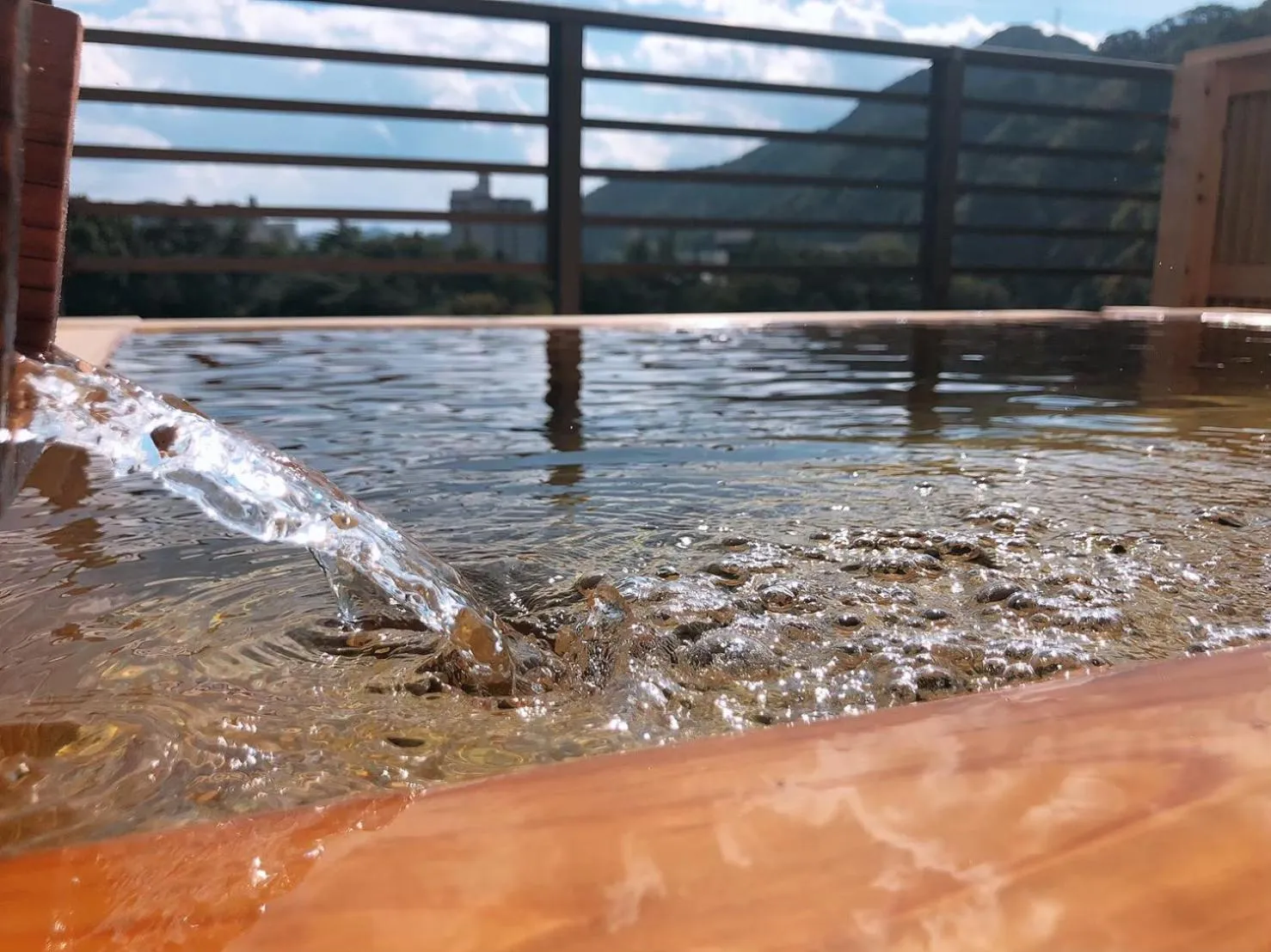 Hot Spring Bath in Hotel New Ohruri