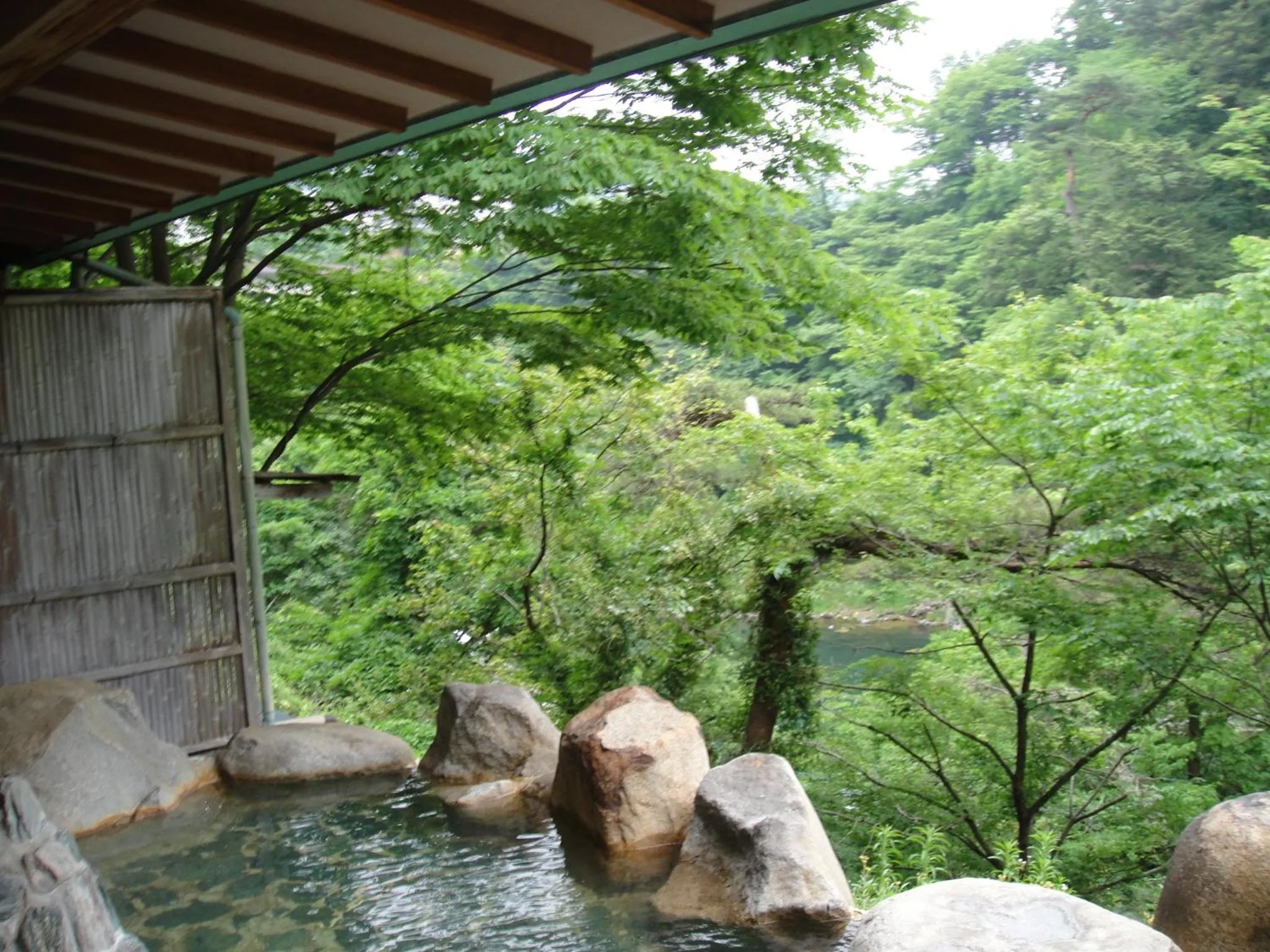 Hot Spring Bath in Hotel New Ohruri