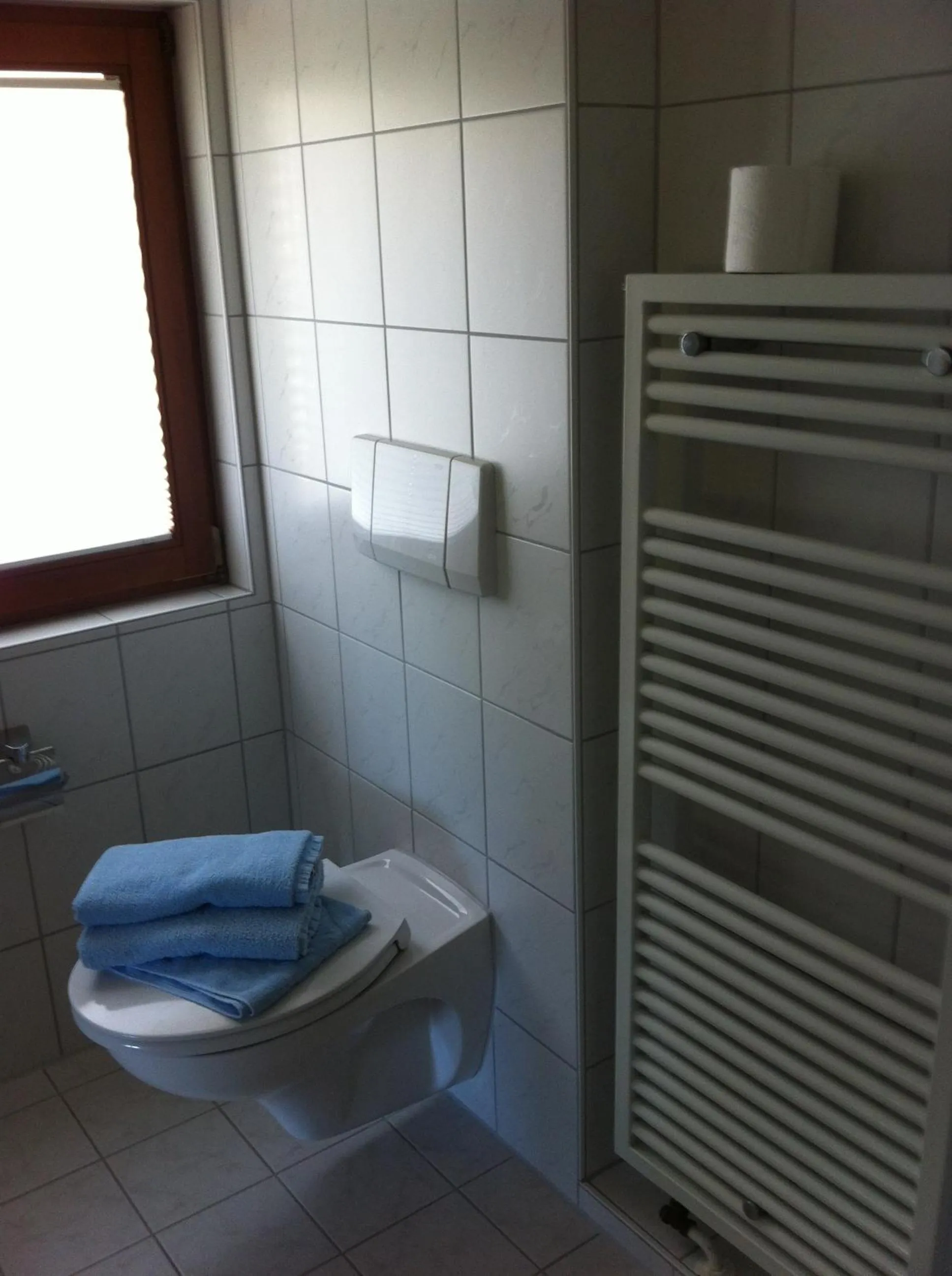 Toilet in Gasthof Richebächli