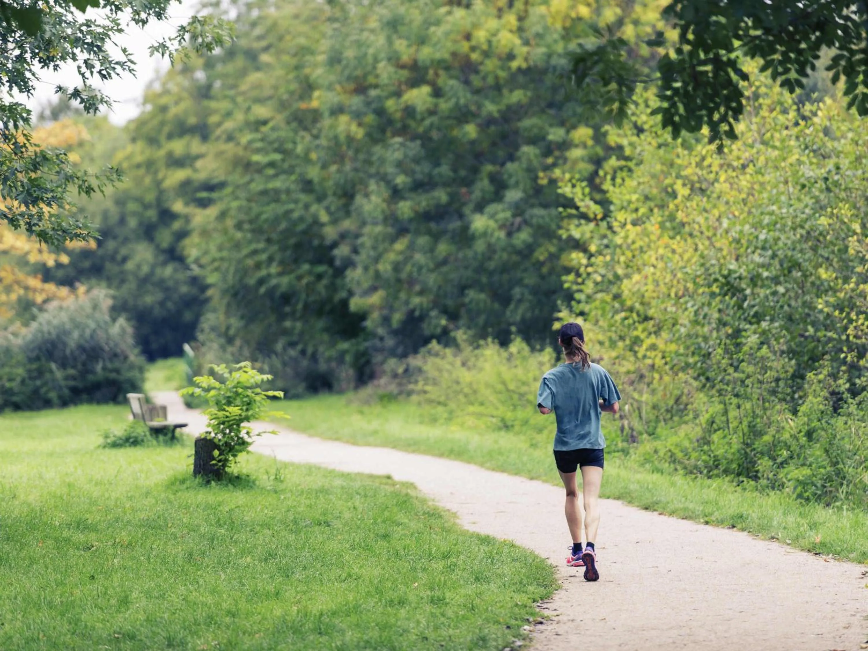 Other in ibis Styles Le Mans Gare Sud