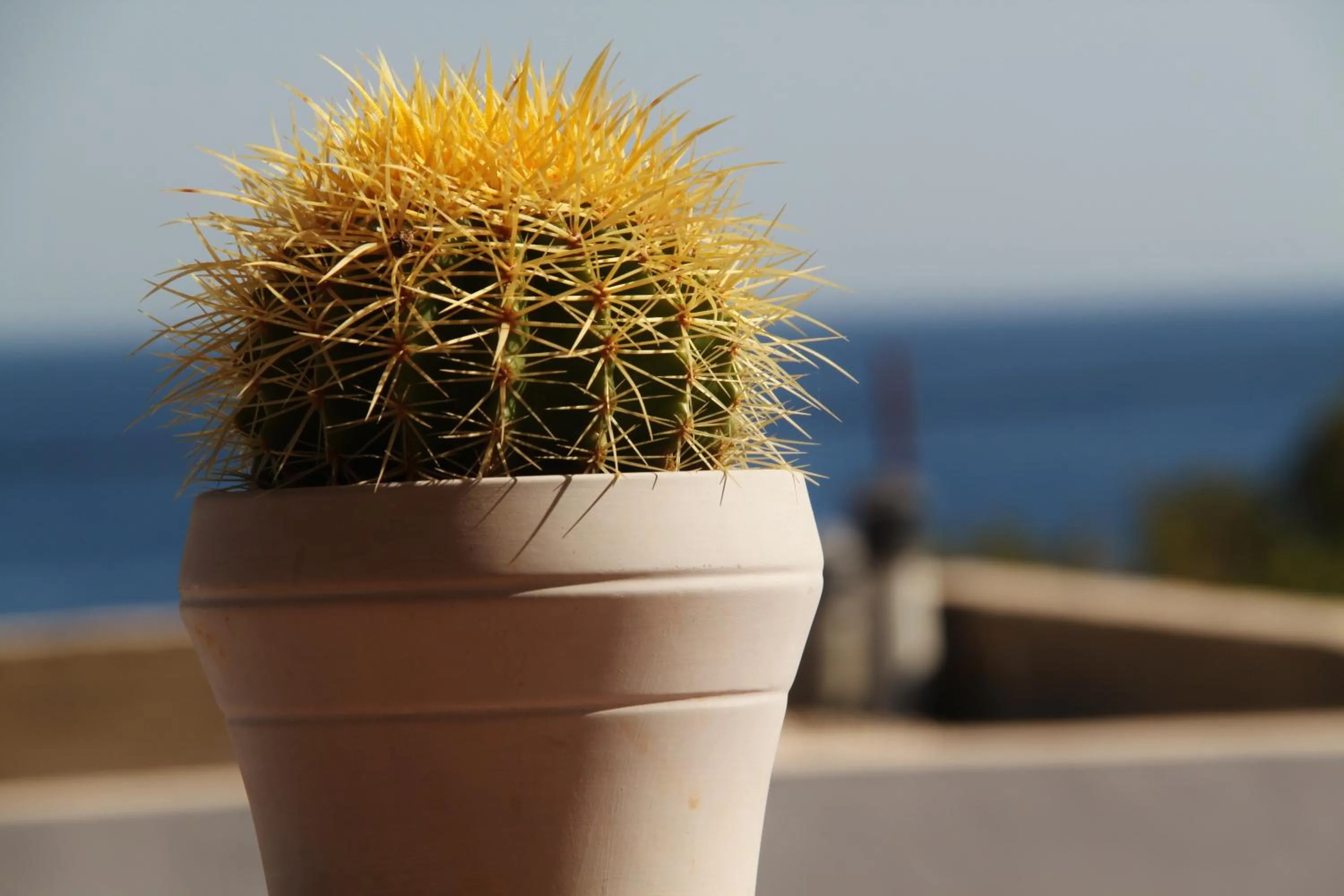 Other in Santa Irene