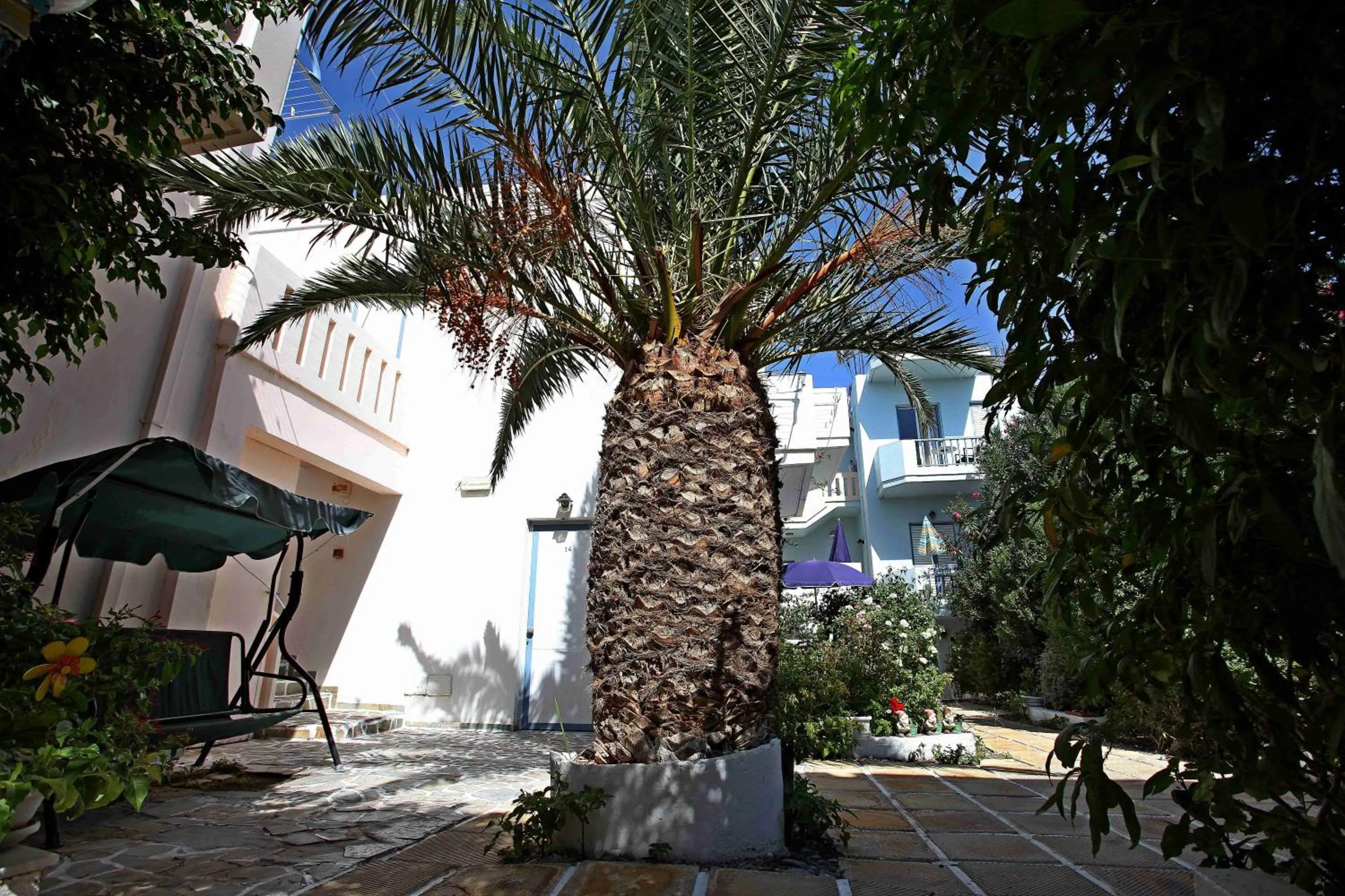 Property building in Santa Irene