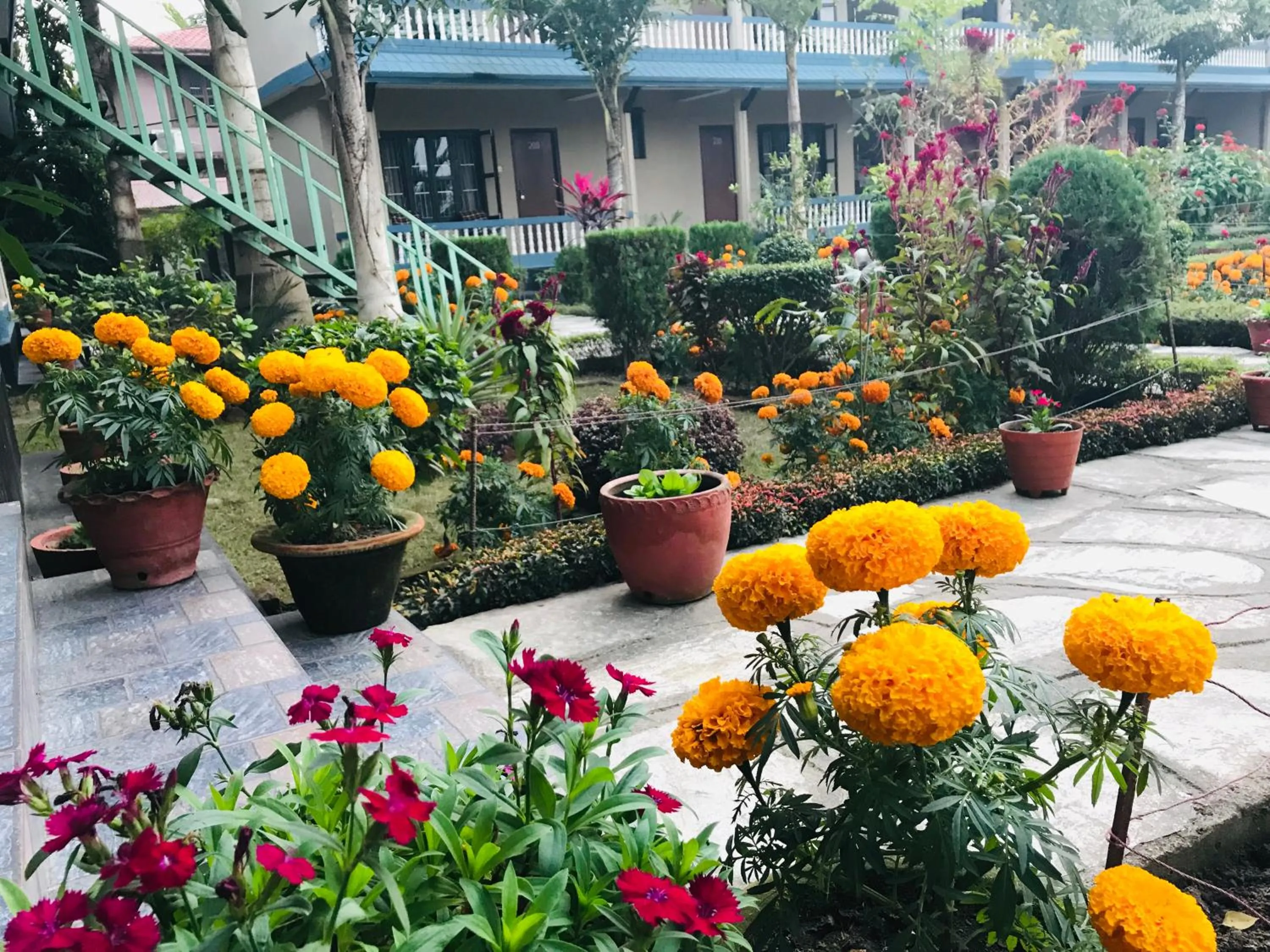 Garden in Chitwan Village Resort