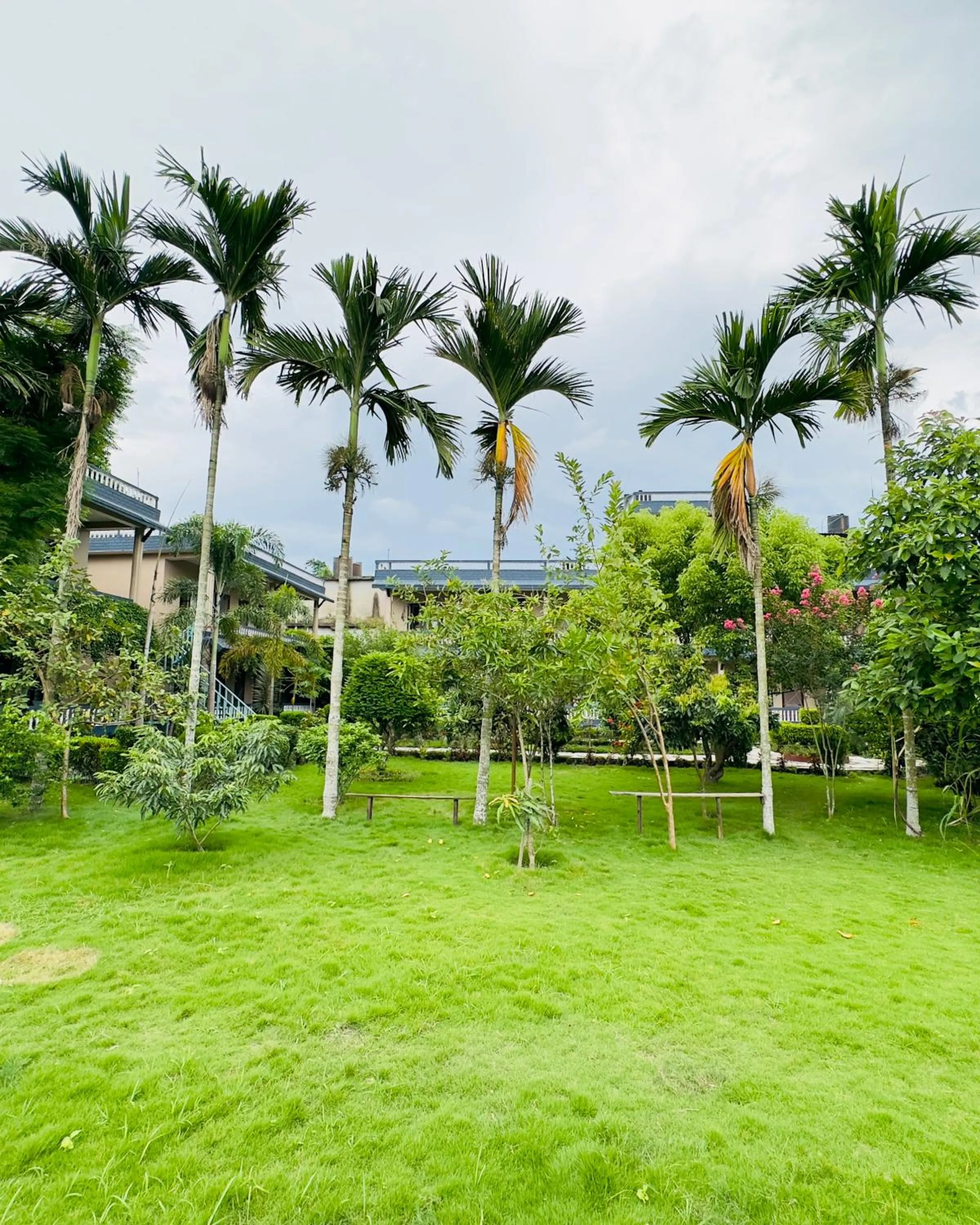 Garden in Chitwan Village Resort