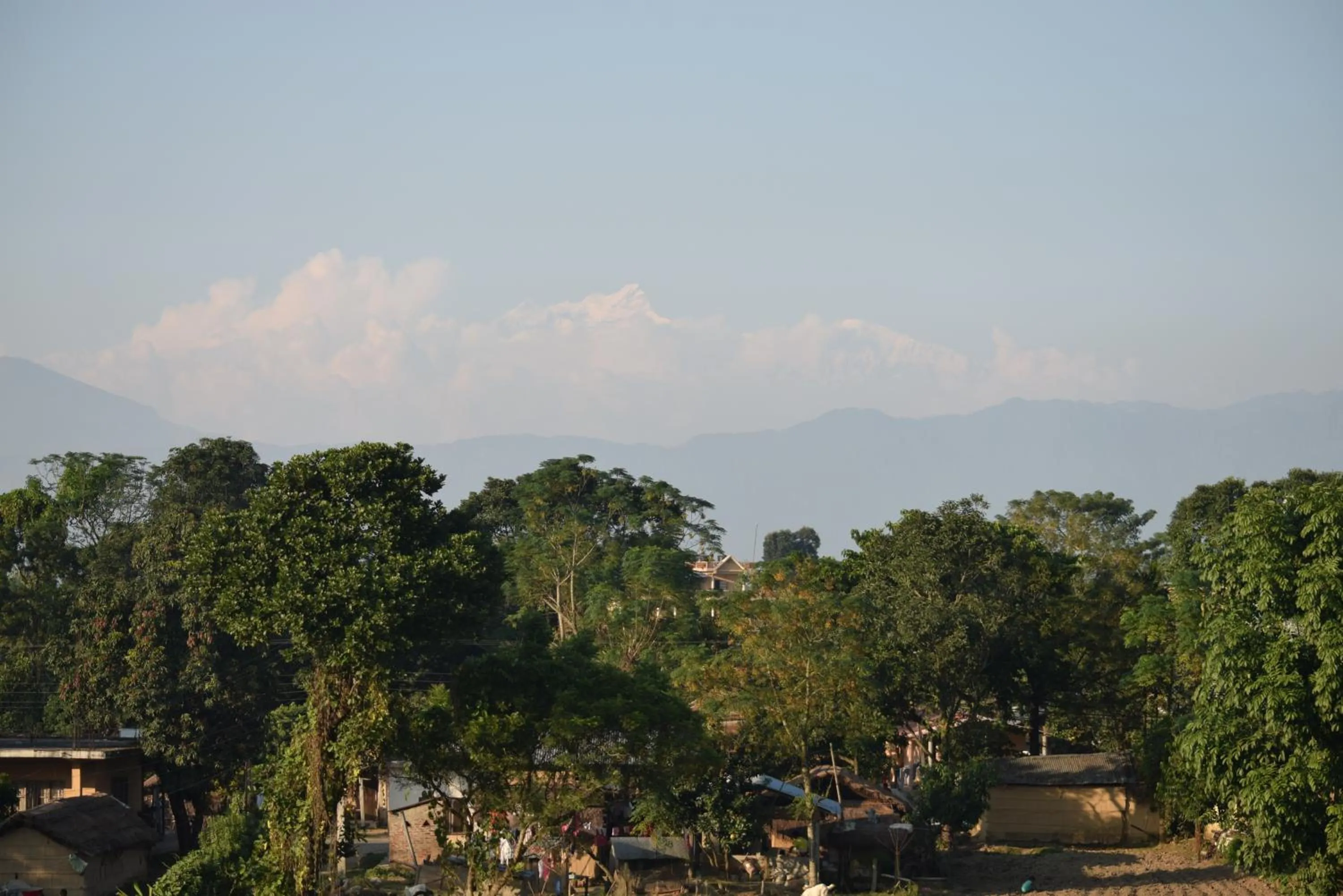 Day in Chitwan Village Resort