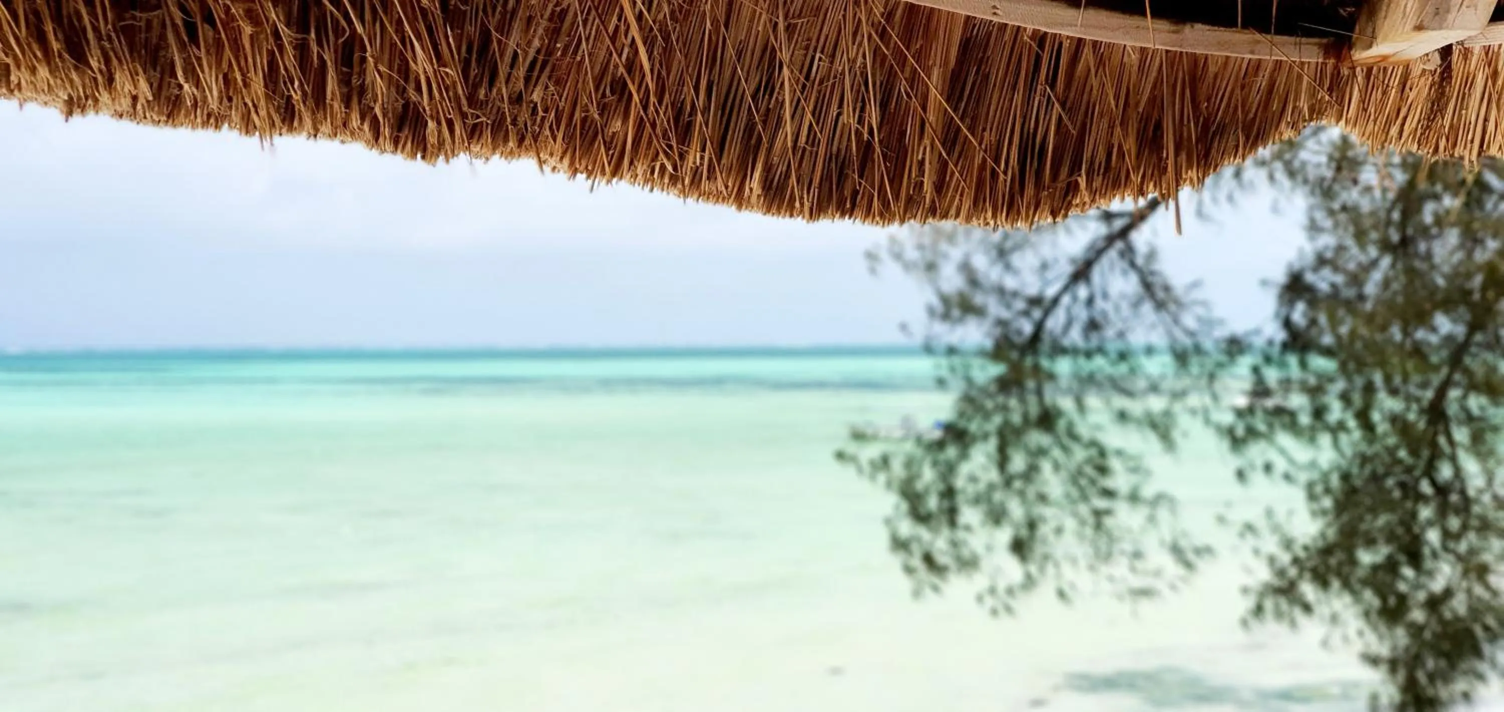 ARYA Boutique Resort