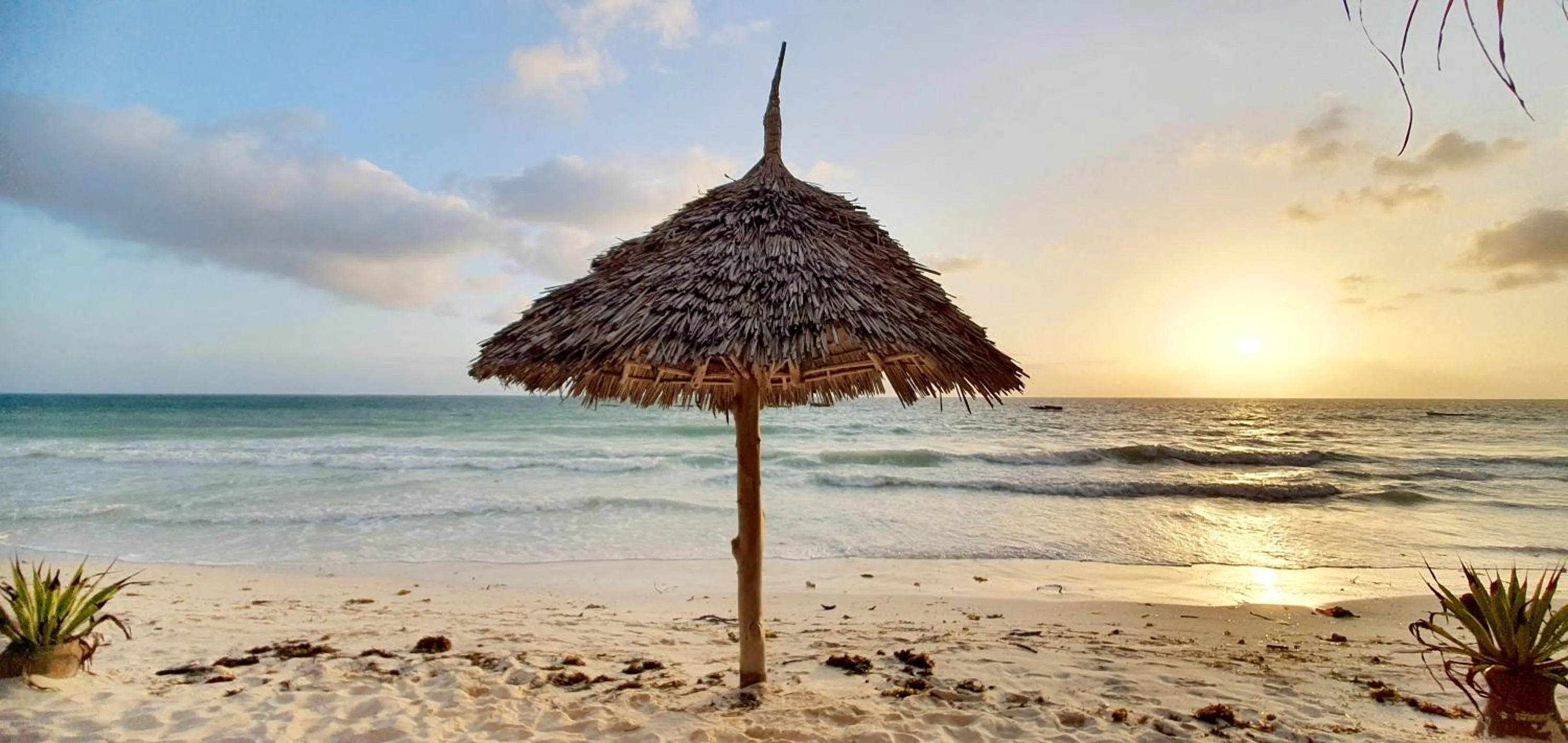 ARYA Boutique Resort