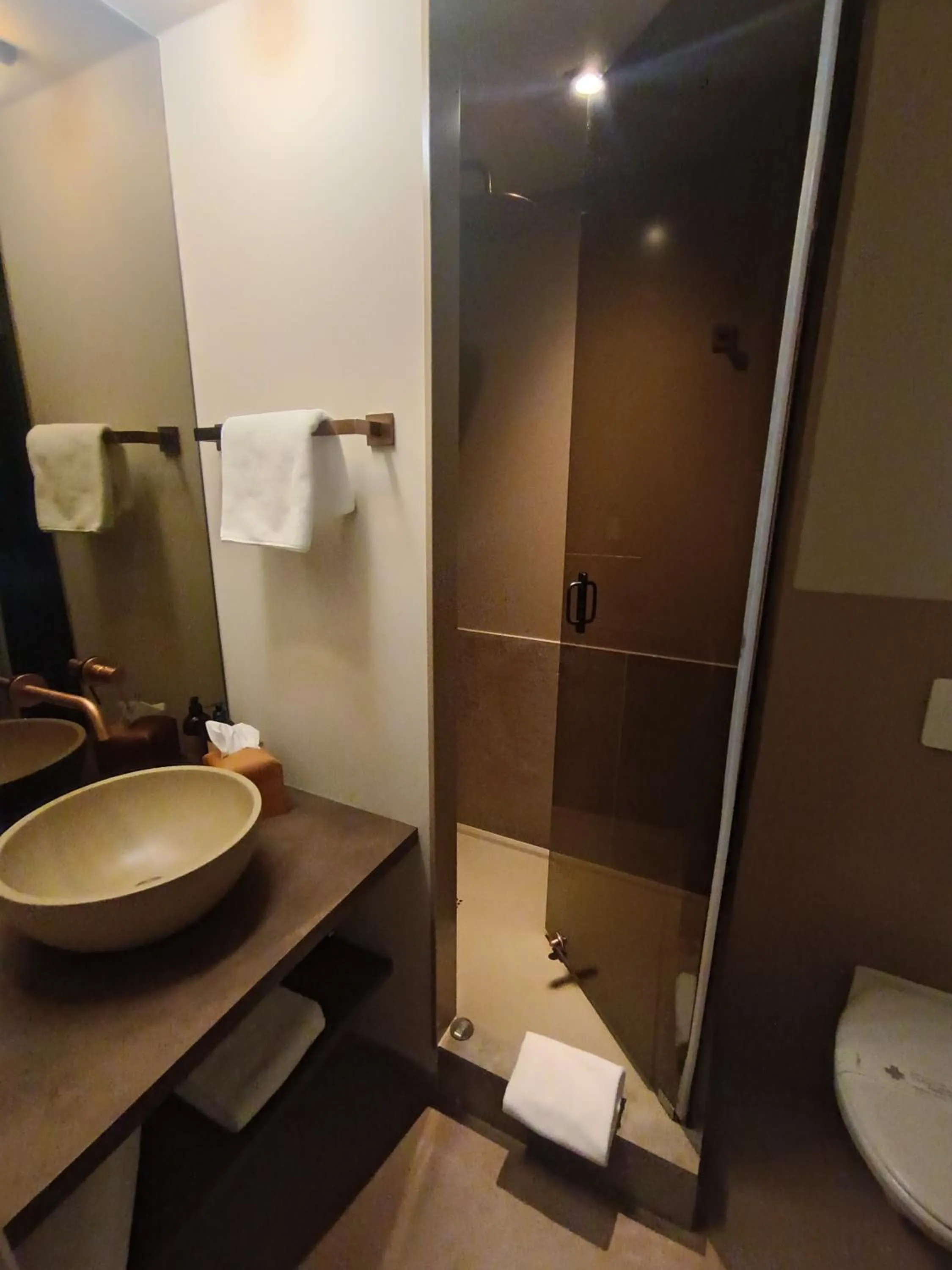 Shower in Hôtel Kyriad Brive Ouest