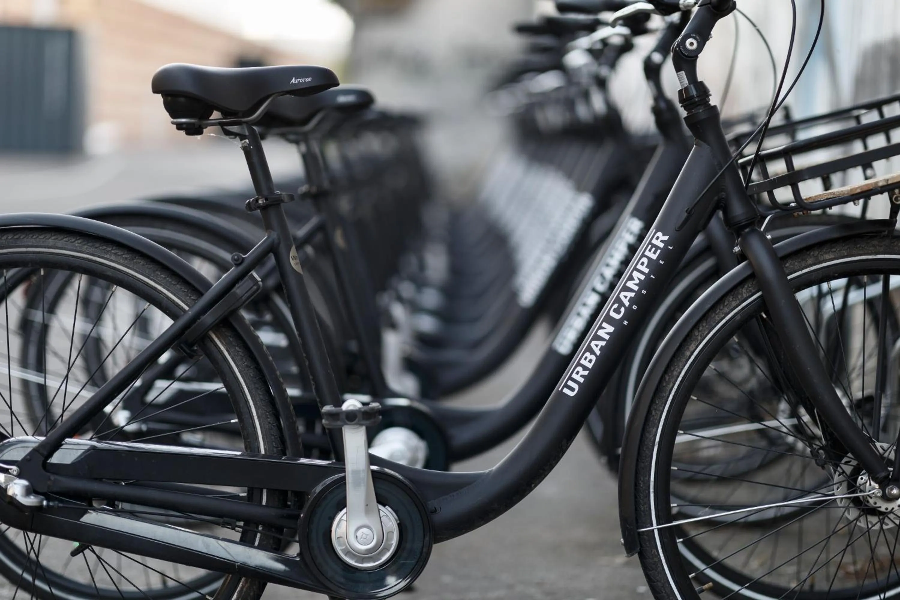 Cycling in Urban Camper Hostel & Bar