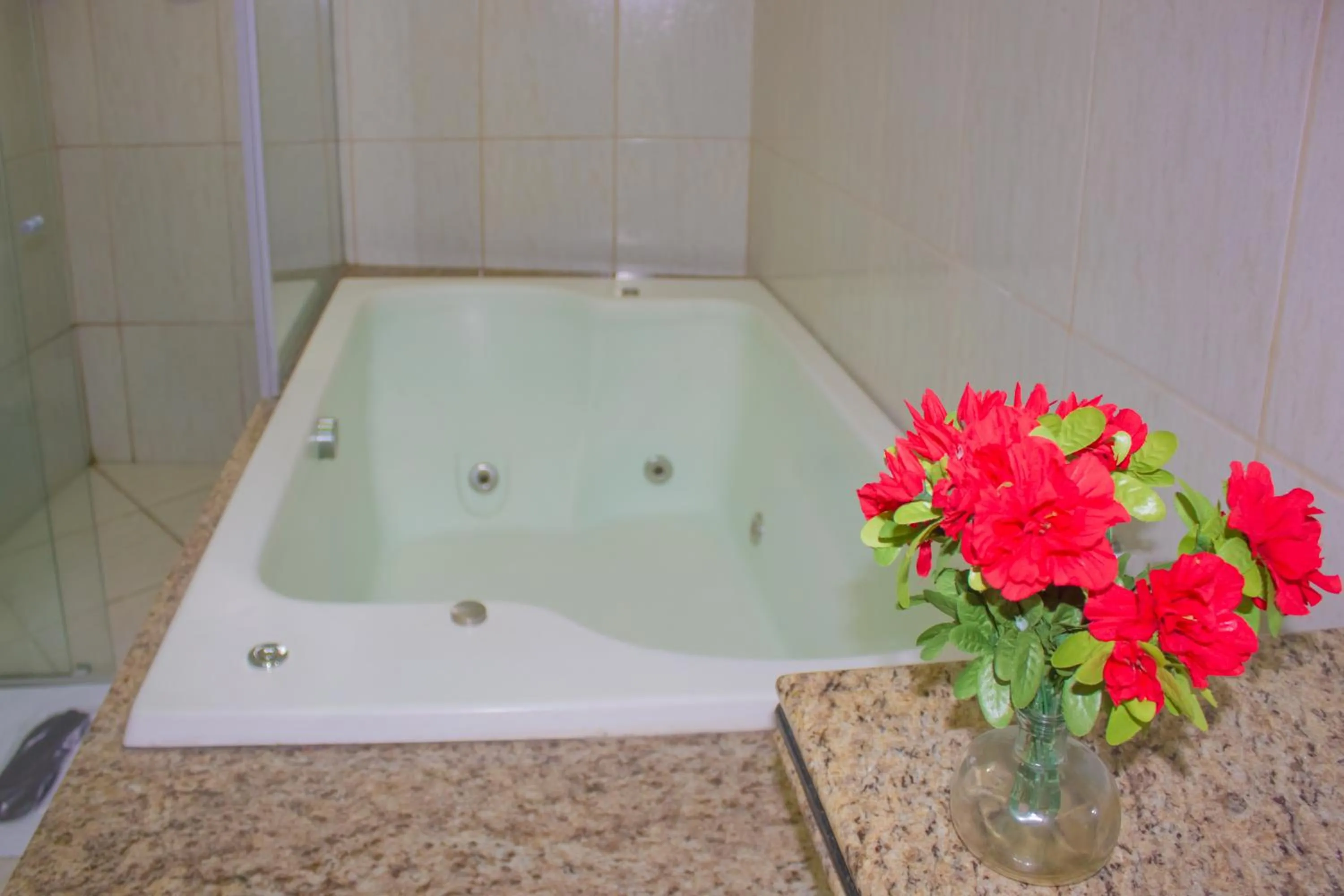 Hot Tub in Hotel Meri Conselheiro Lafaiete