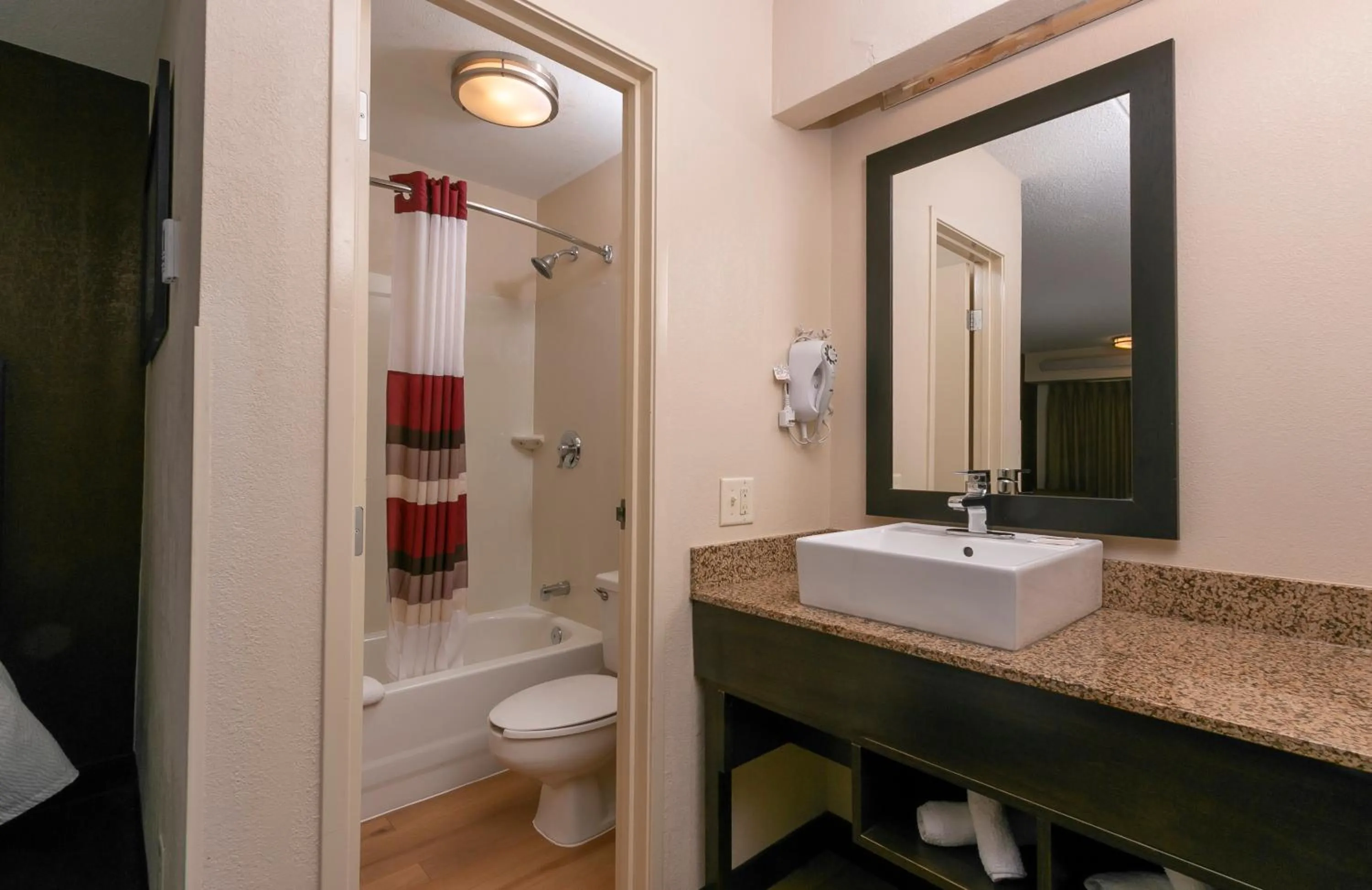 Bathroom in Red Roof Inn PLUS+ Columbus-Ohio State University OSU