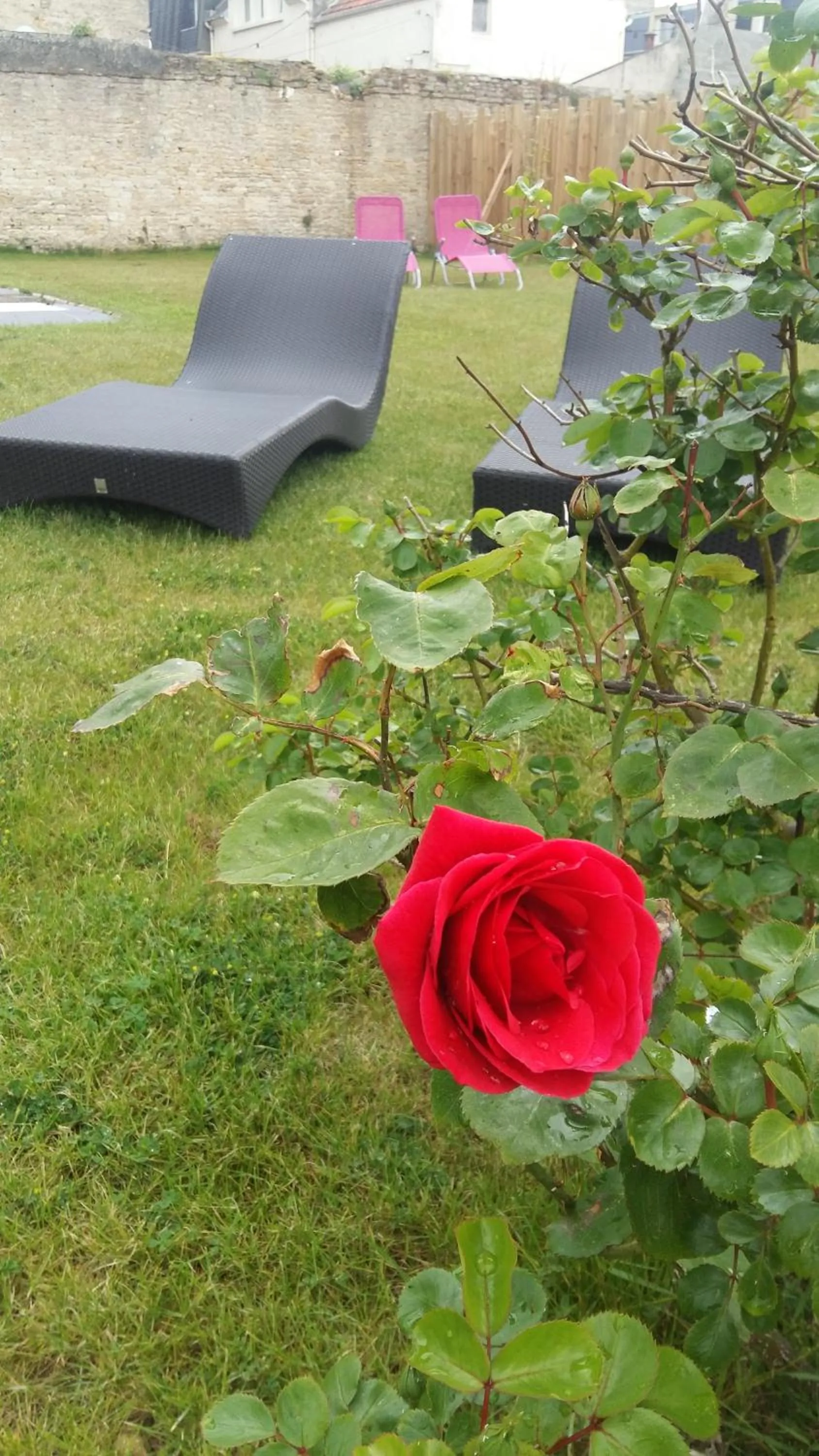 Garden in Hotel des Thermes et du Casino