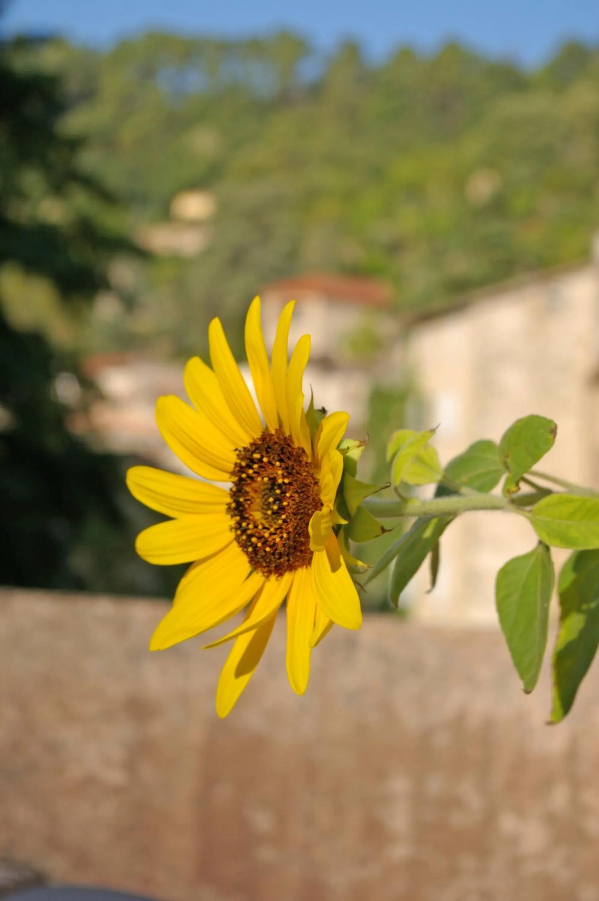 Les chambres Anglaises