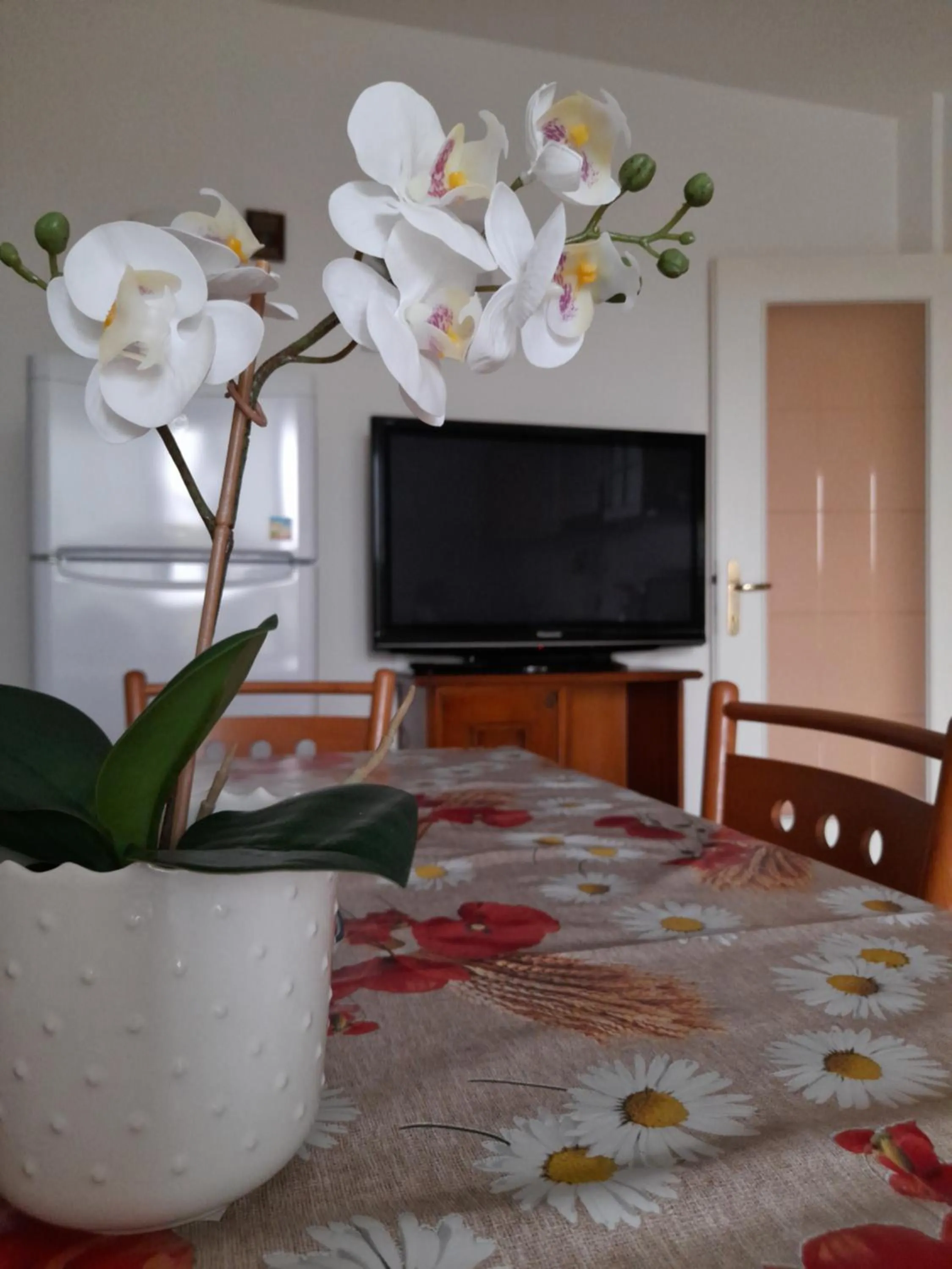 TV and multimedia in Da Dany