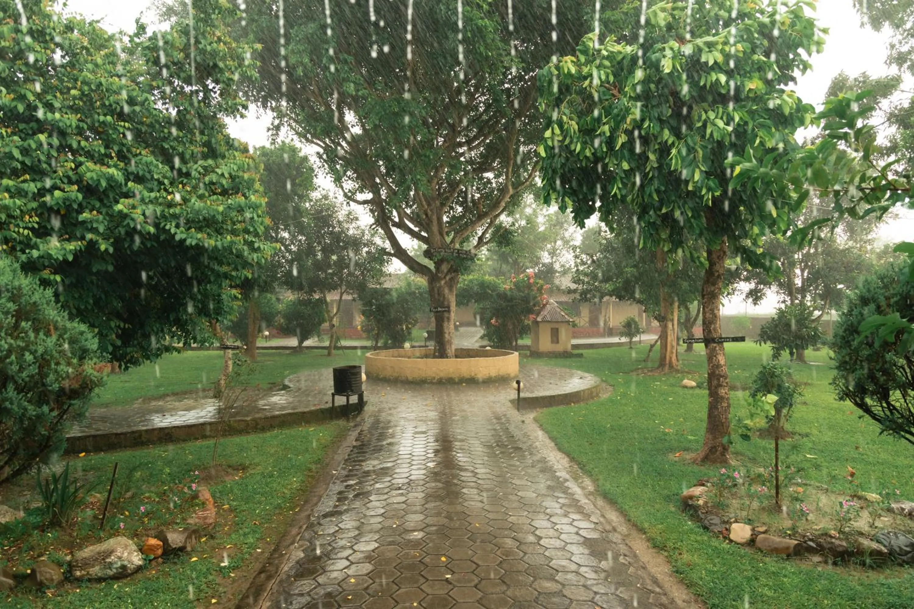 Garden view in Wild Adventure Resort - Sunset Point