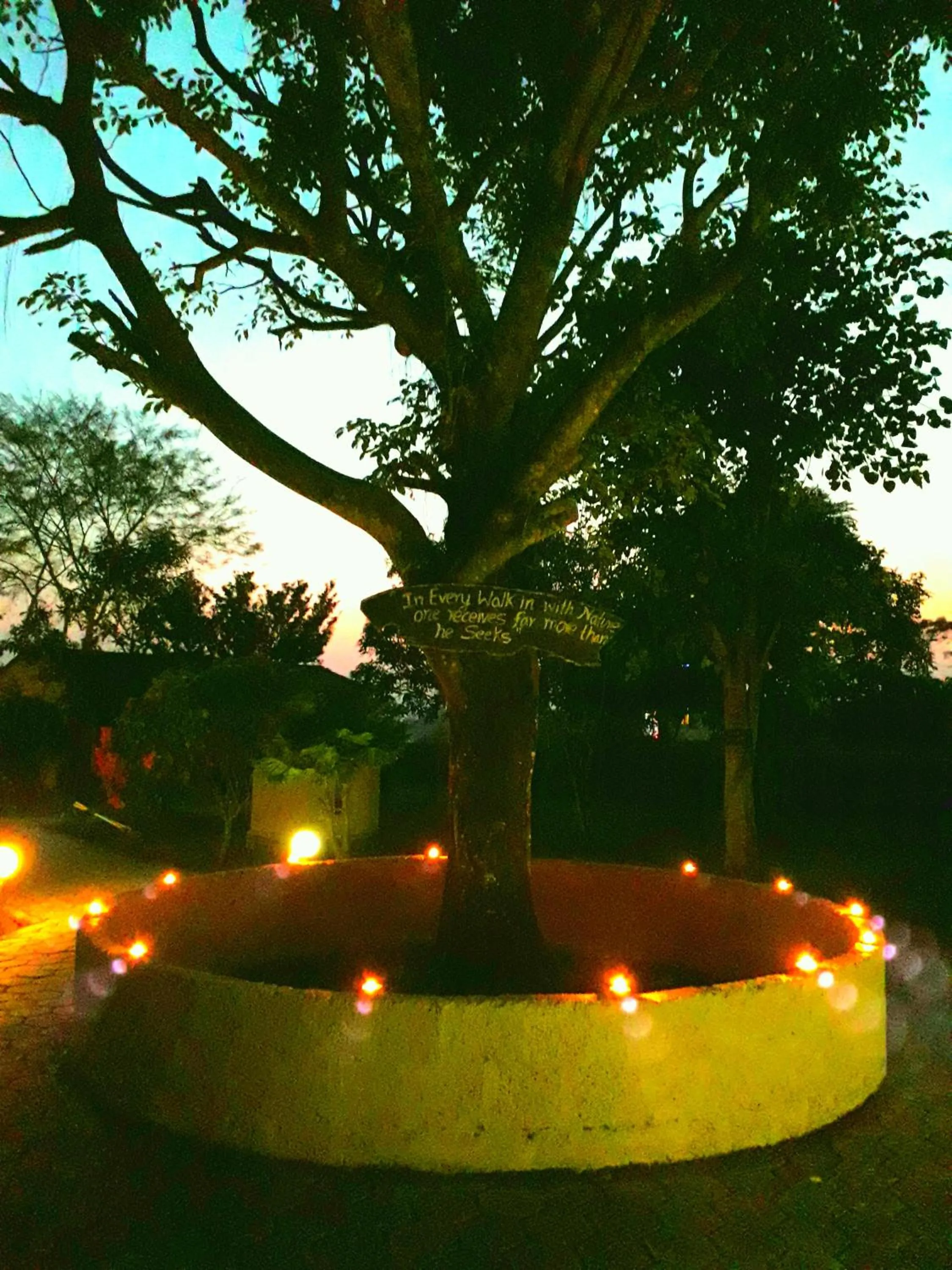 Night in Wild Adventure Resort - Sunset Point