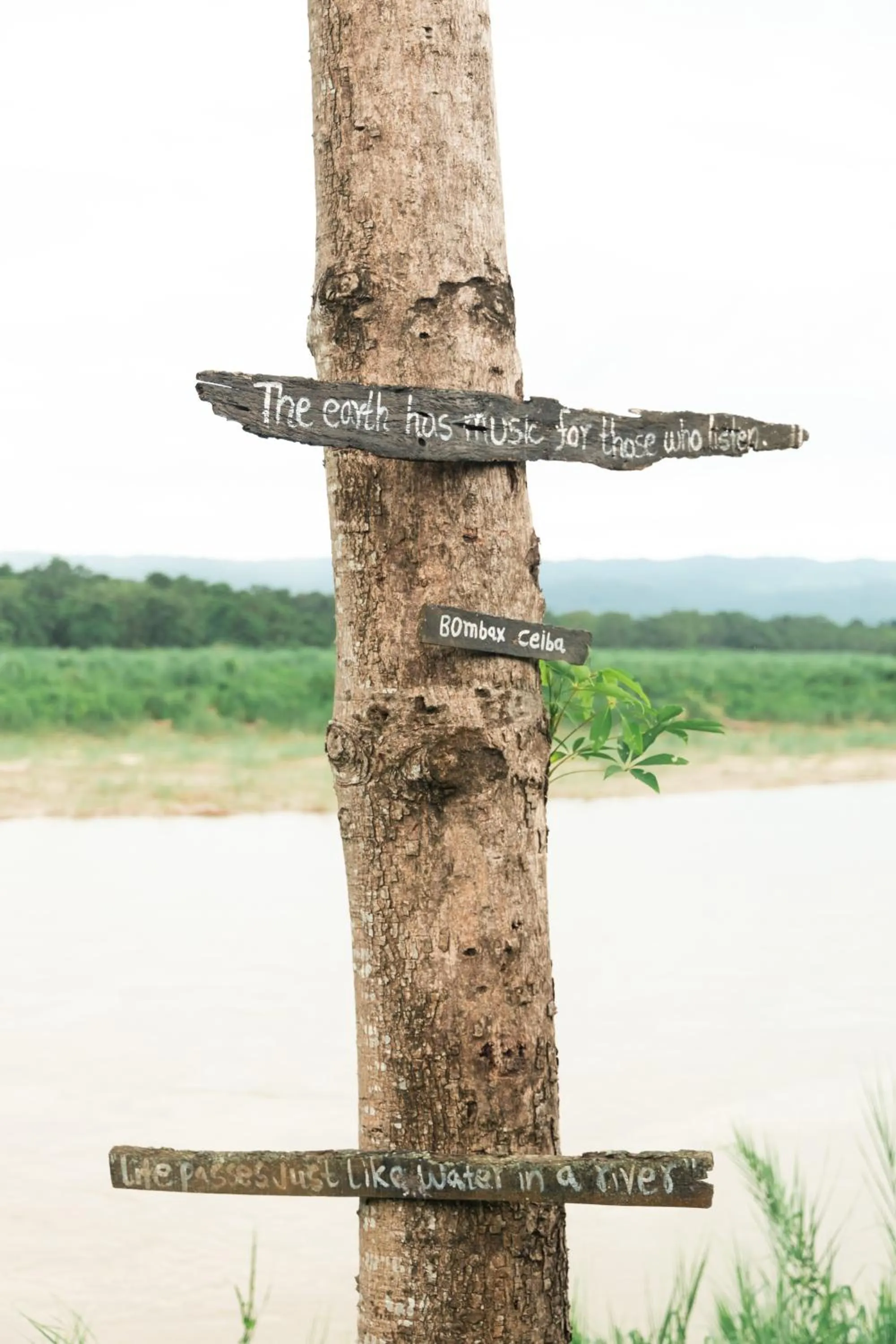 Lake view in Wild Adventure Resort - Sunset Point