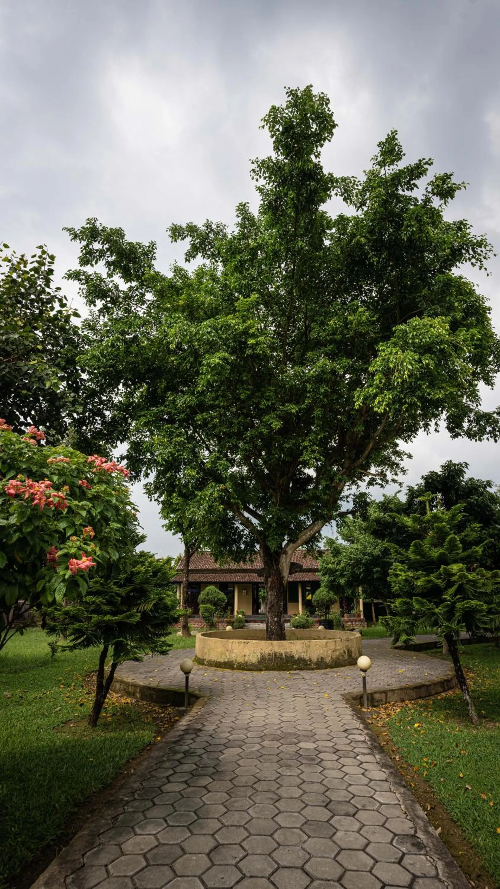 Day in Wild Adventure Resort - Sunset Point