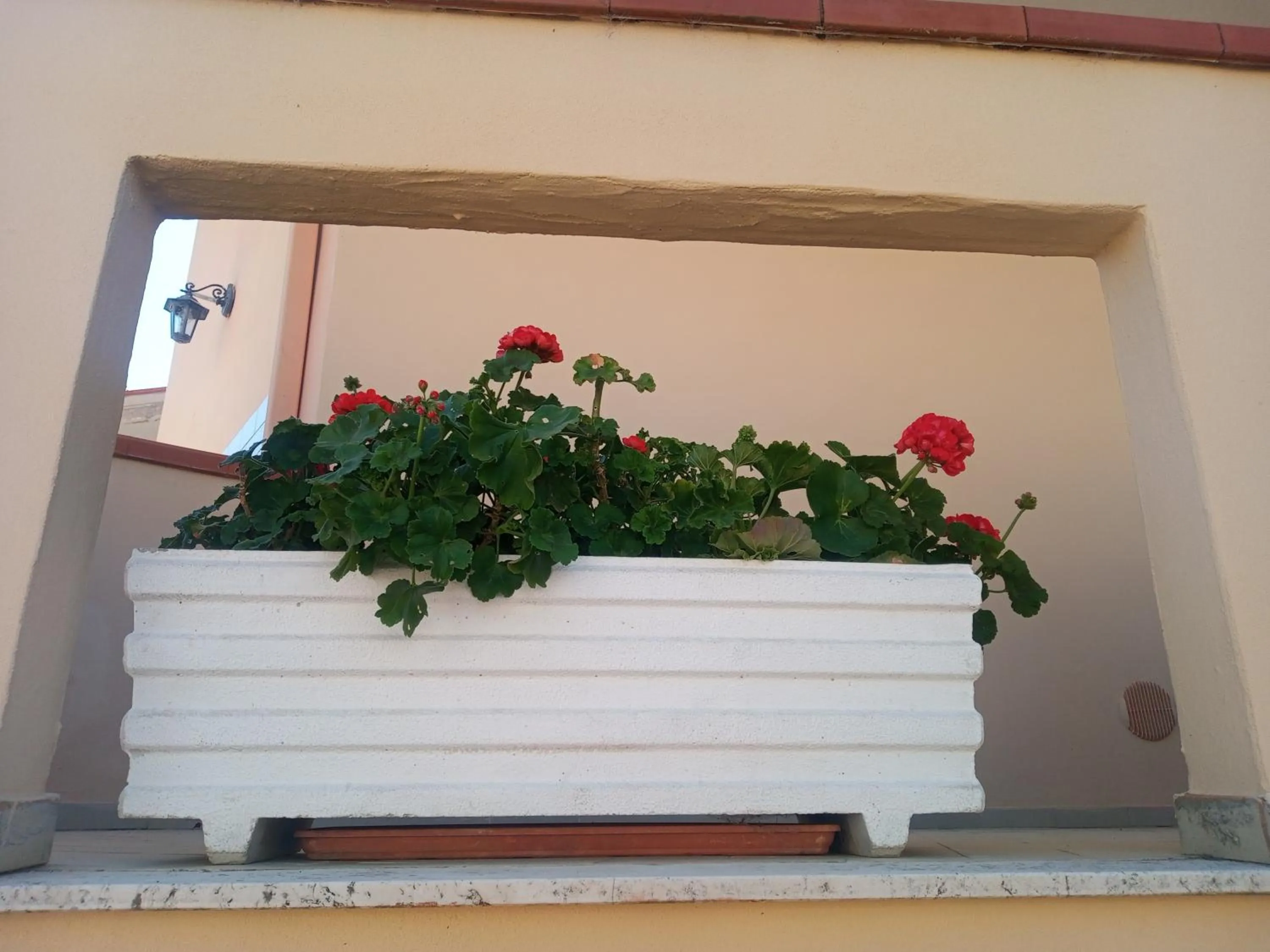 B&B Abruzzo Mare e Monti