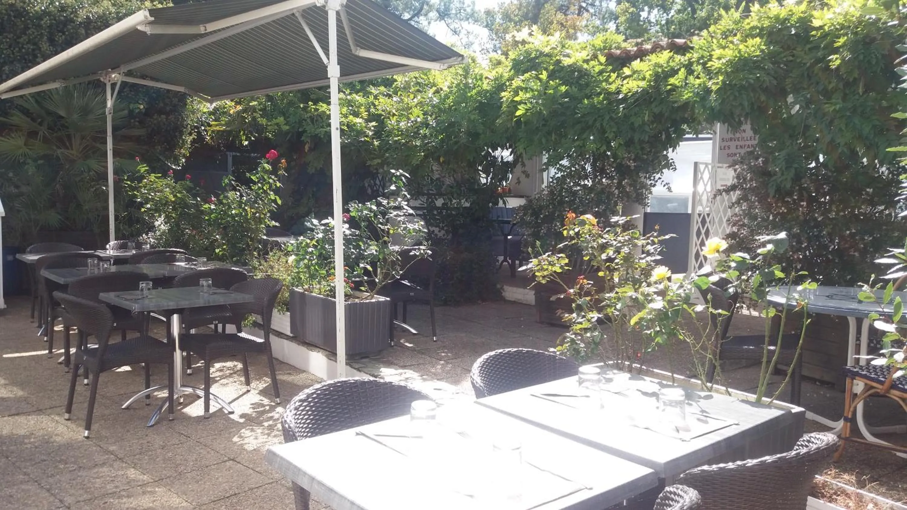 Garden in Hotel De La Mer