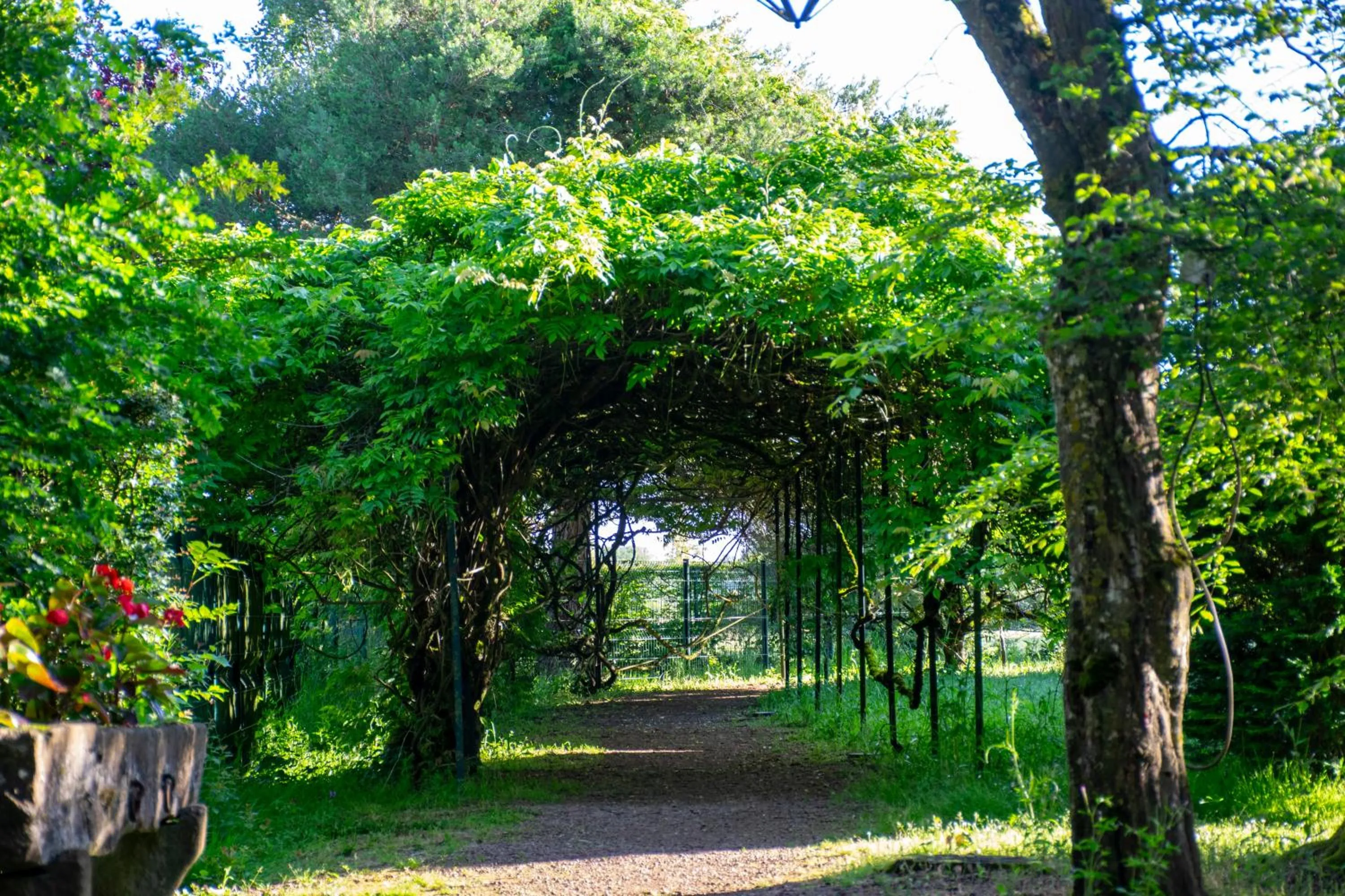Triple Room with Pool View in Le relais fleuri, Hôtel et restaurant Logis - Avallon