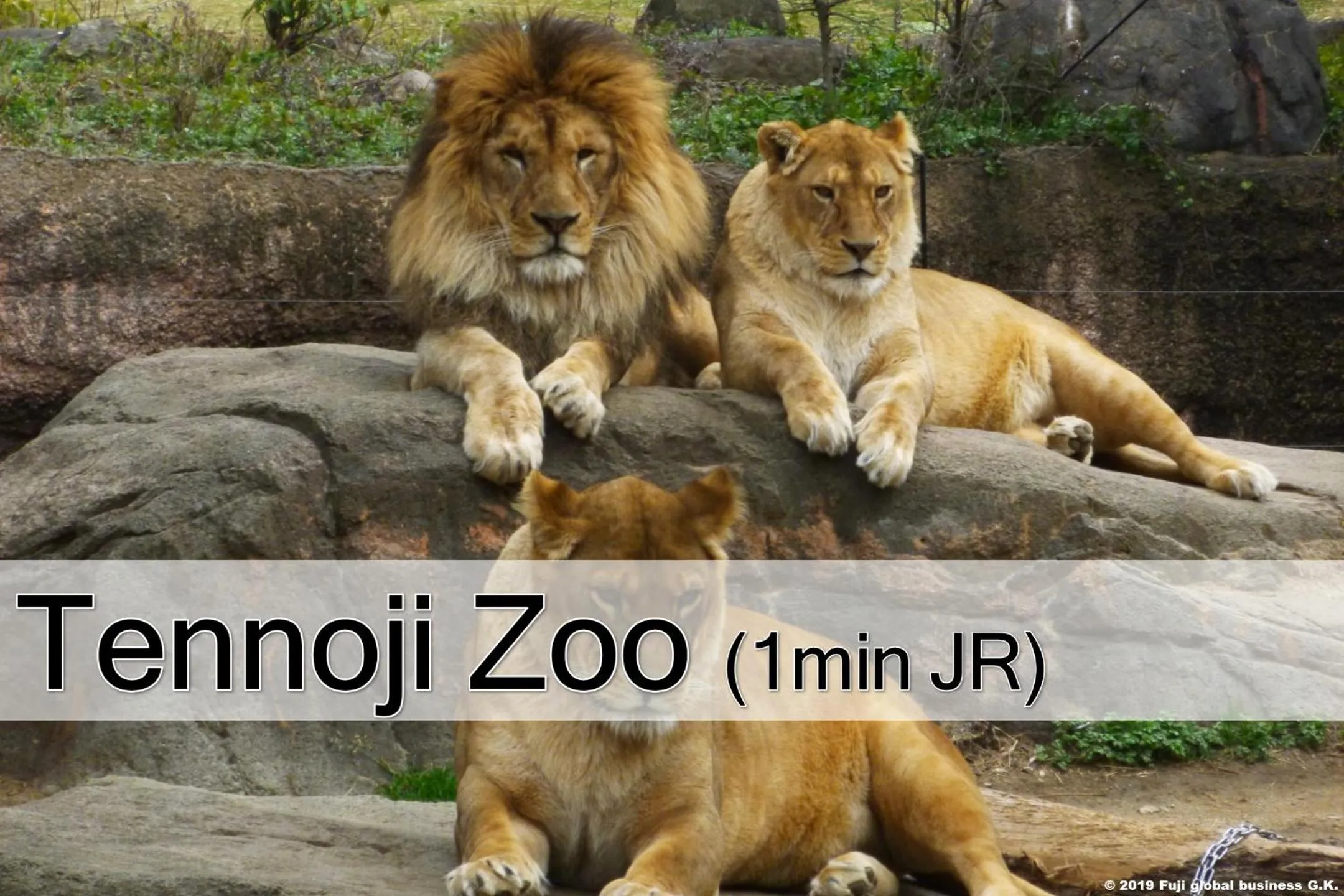 Prestige Suites Osaka Teradacho