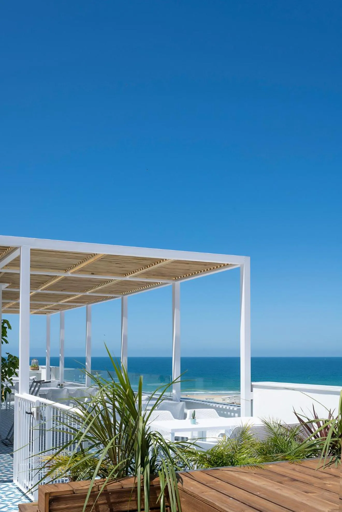 Area and facilities in Alzocaire Hostal Boutique