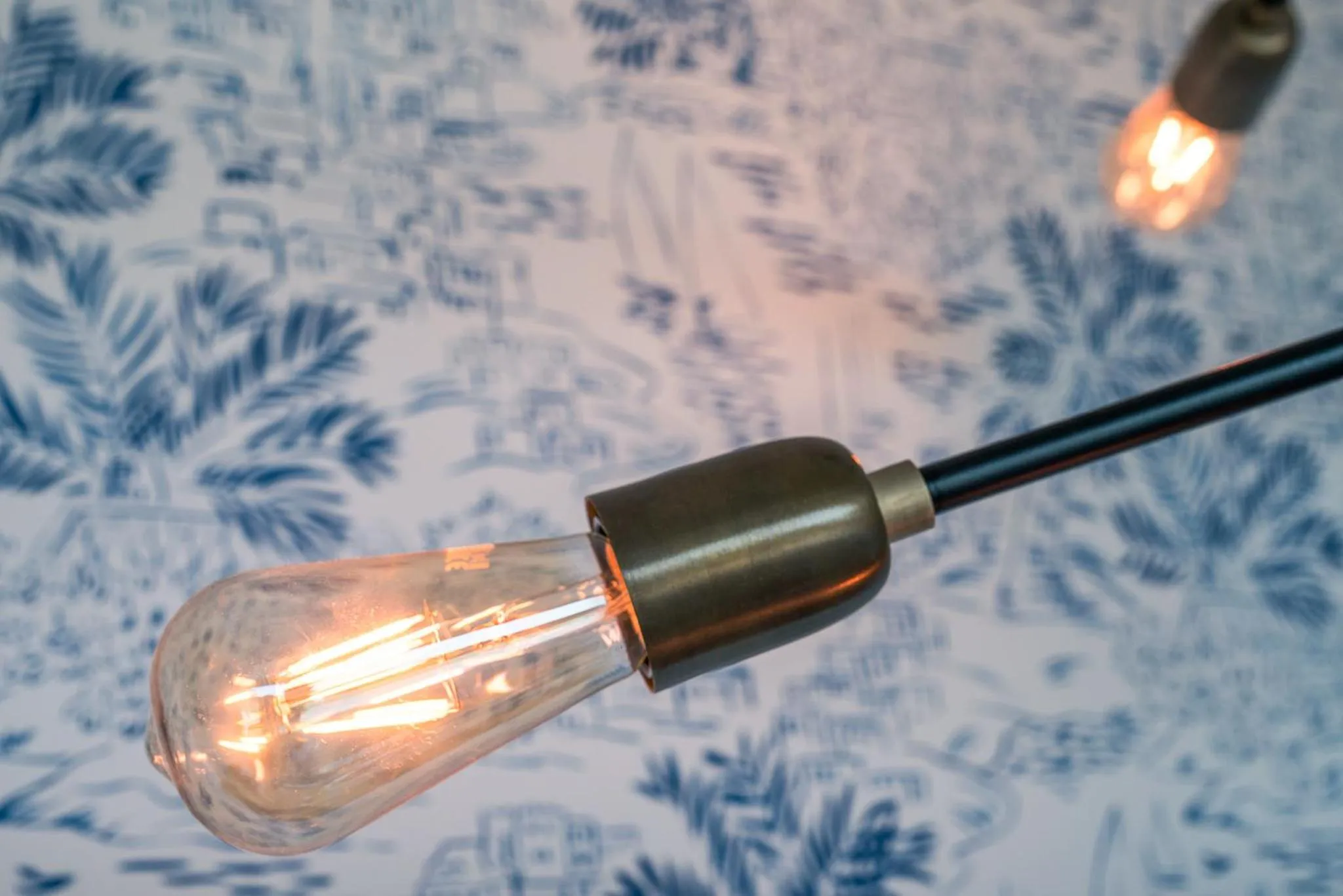 Other in Strandhaus Ahrenshoop