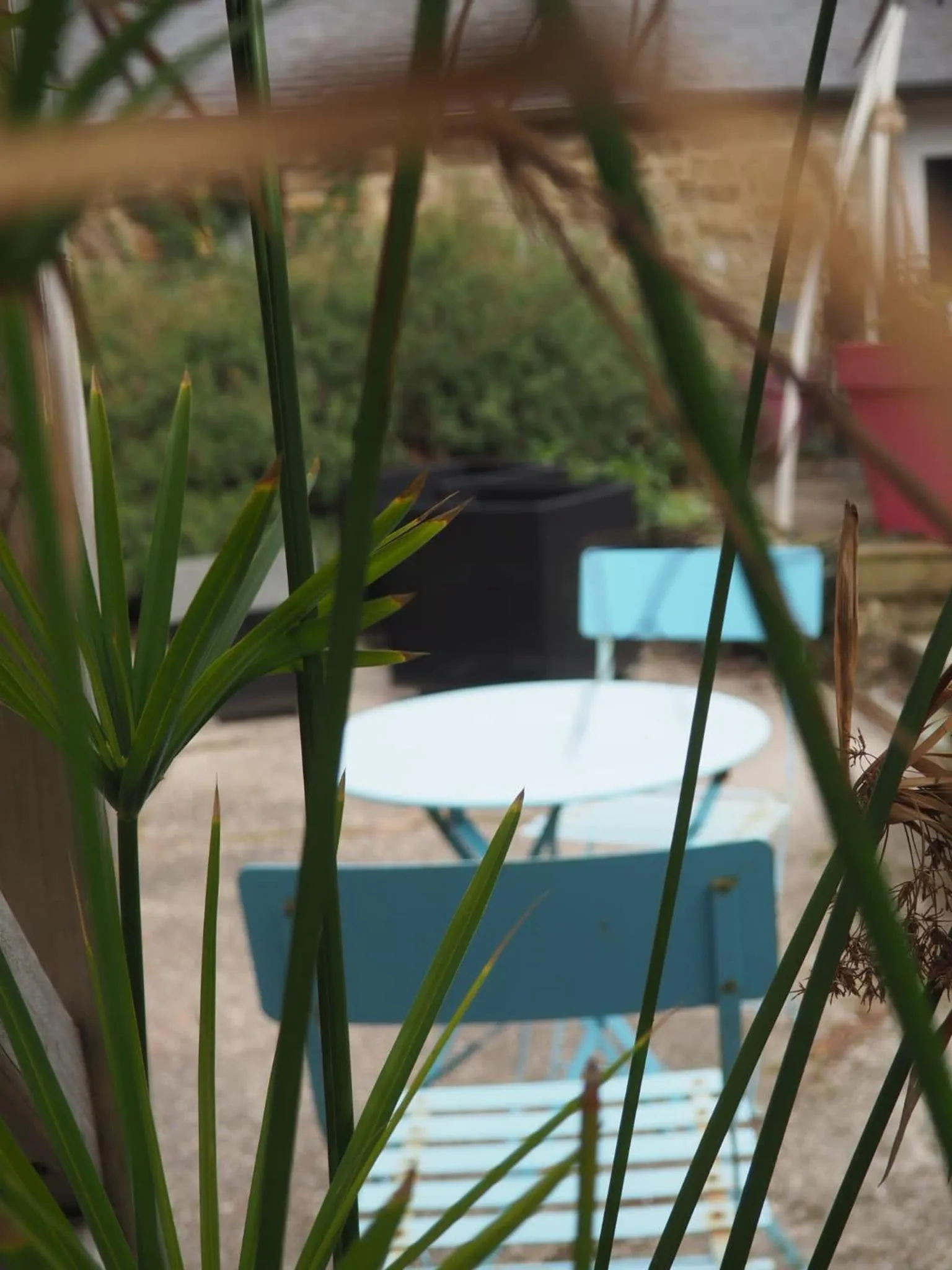 Chambres d'Hôtes Fleur de Sel