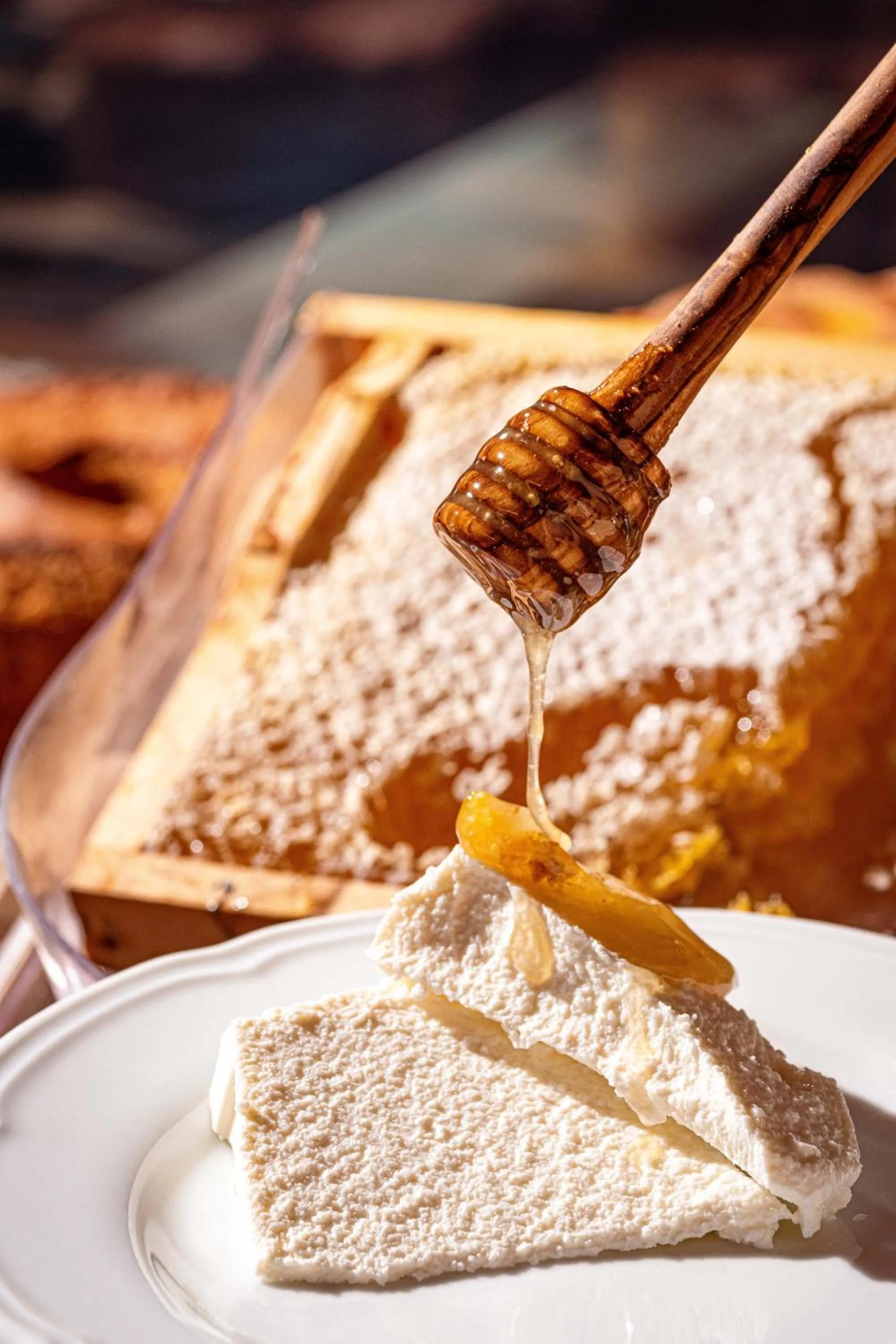 Agriturismo La Cerra